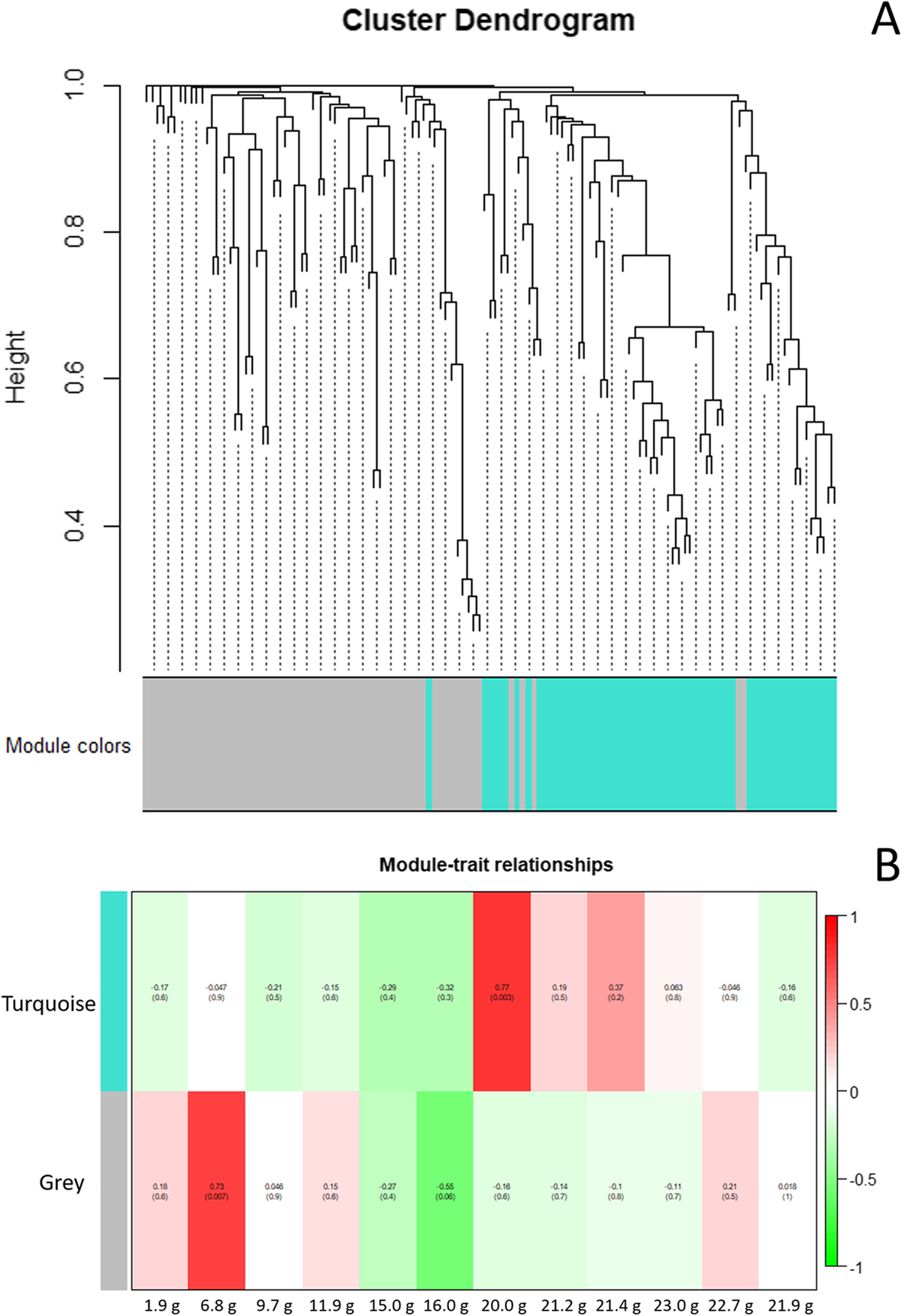 Fig. 7