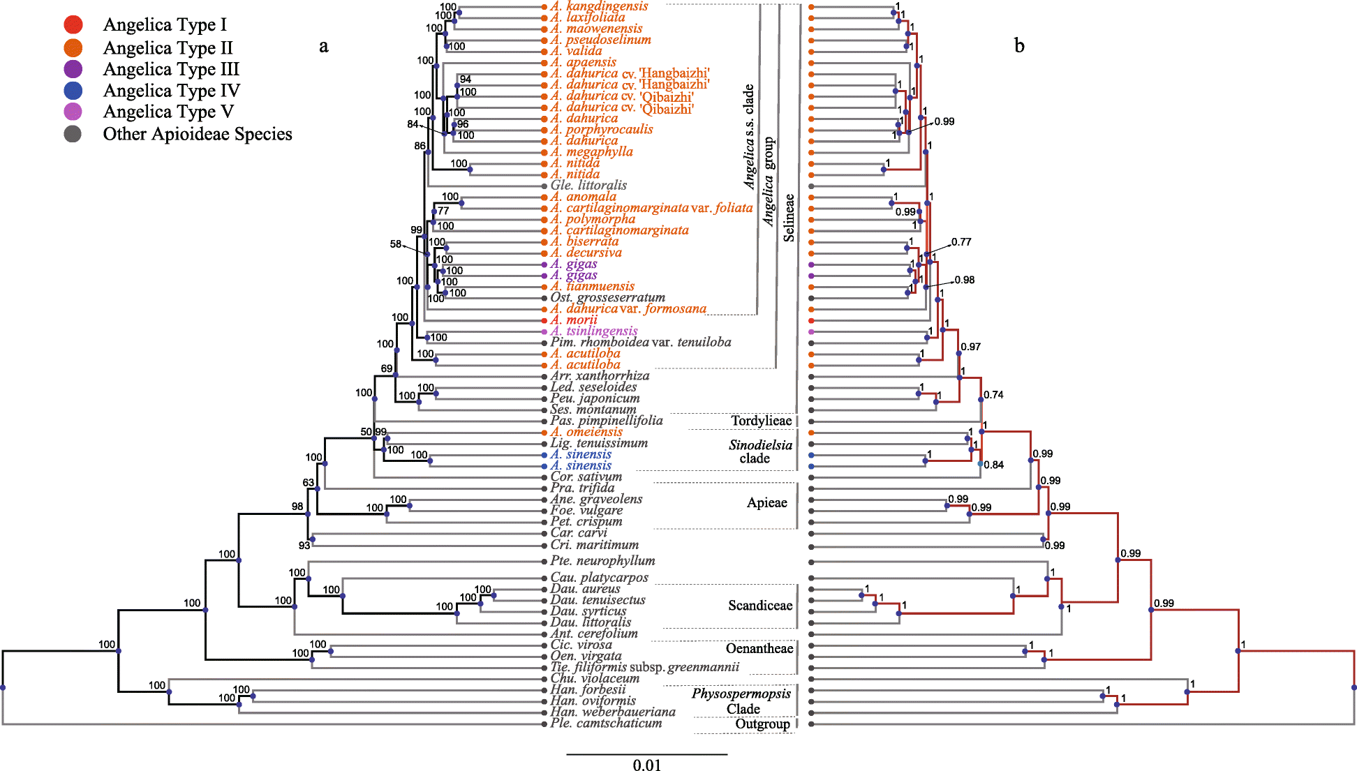 Fig. 5