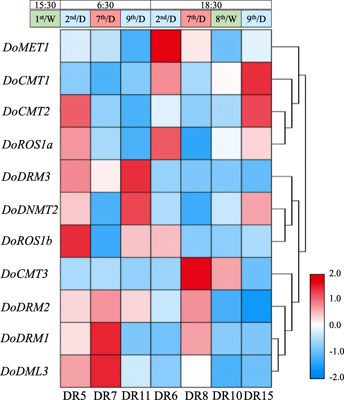 Fig. 10