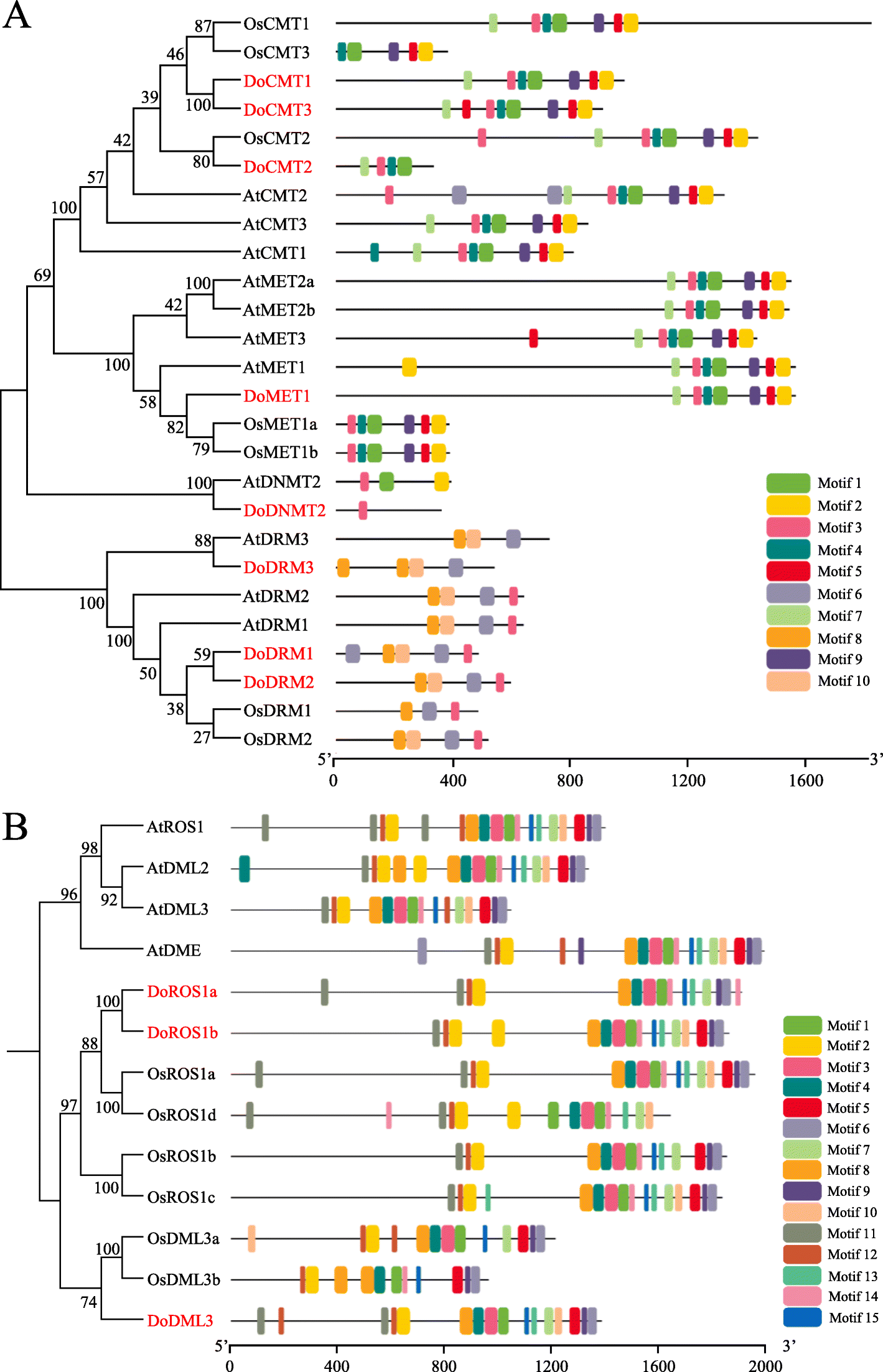 Fig. 4