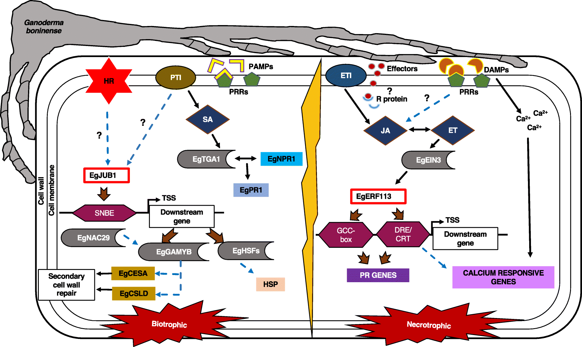 图6.