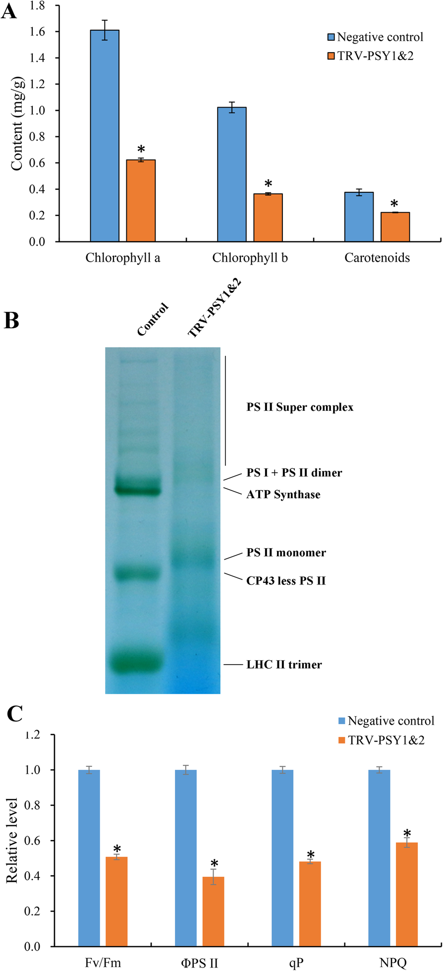 Fig. 5