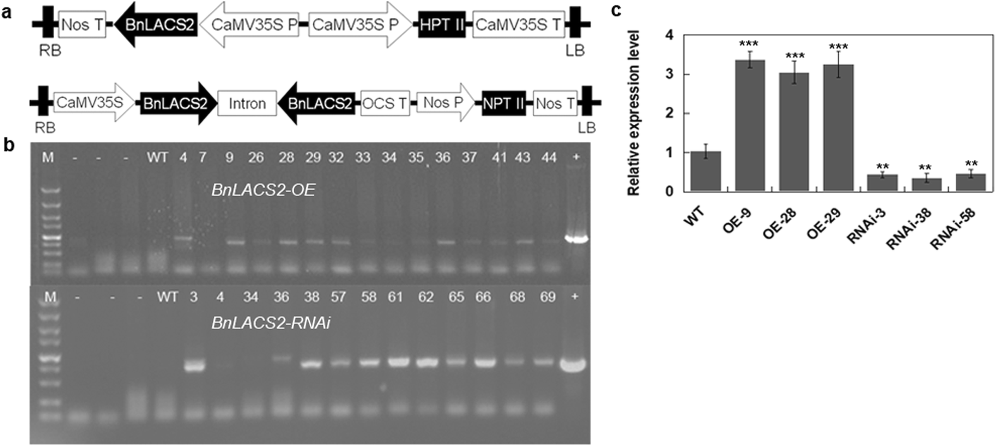 Fig. 5