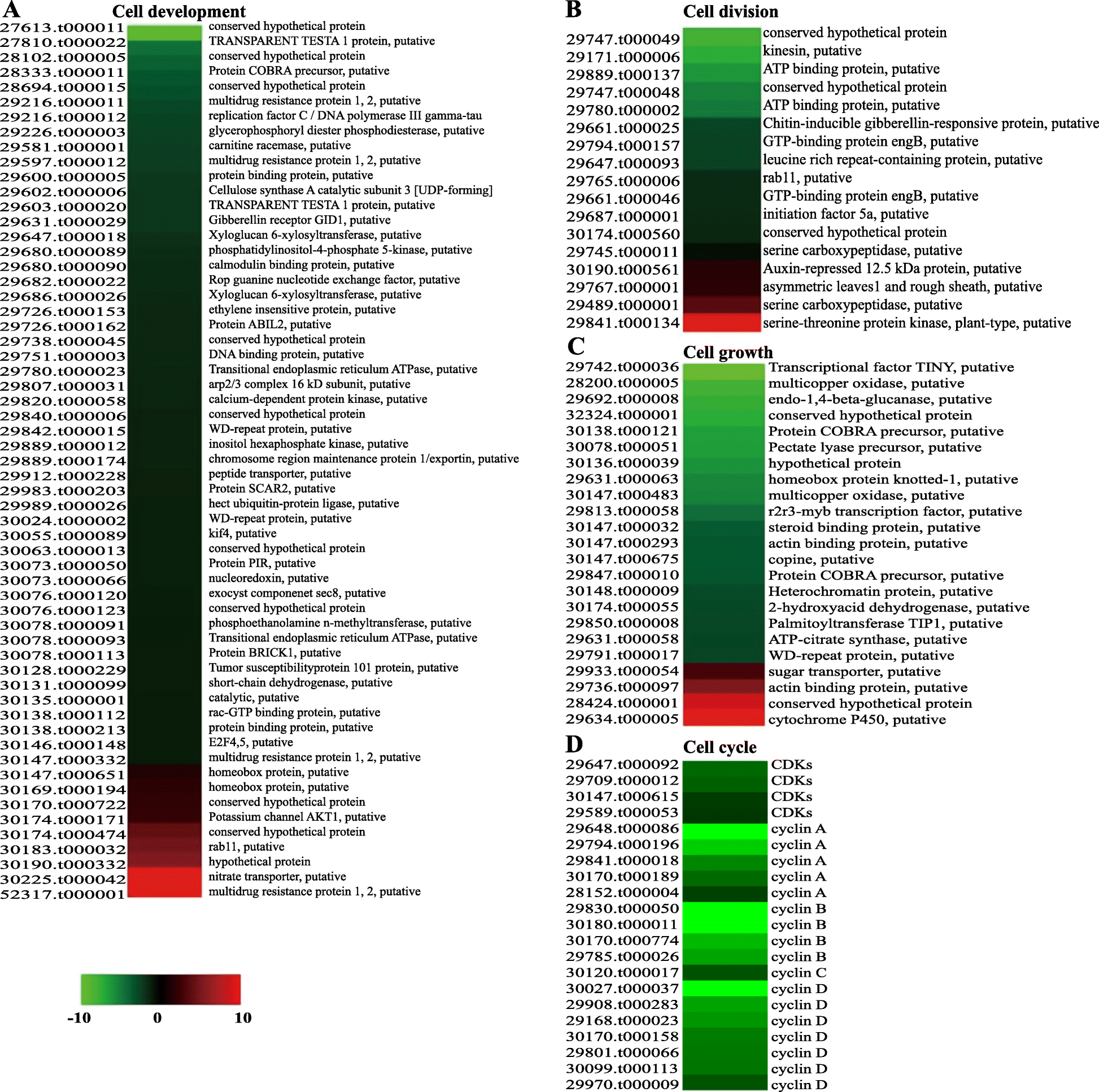 Fig. 6