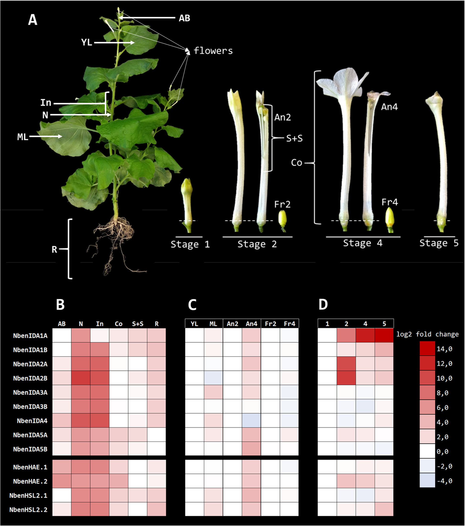 Fig. 3