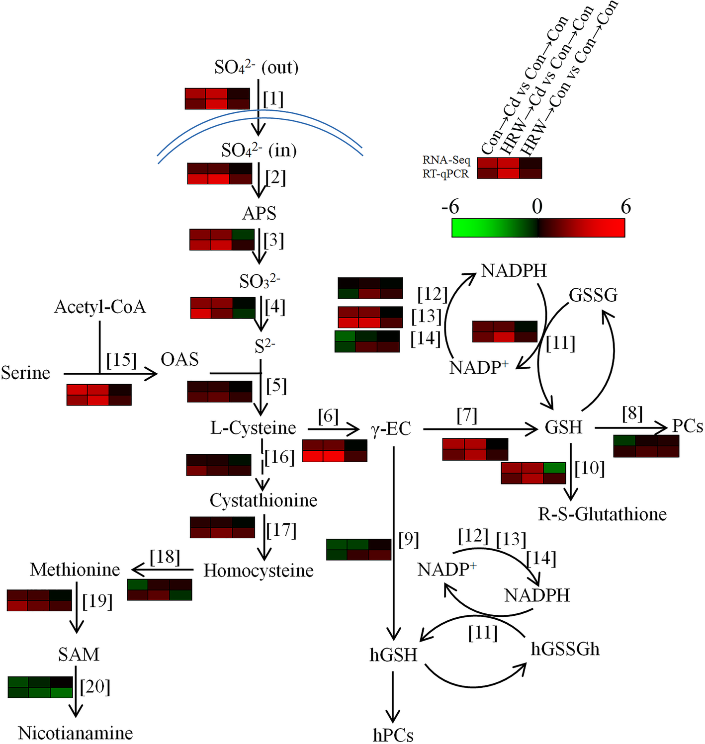 Fig. 3