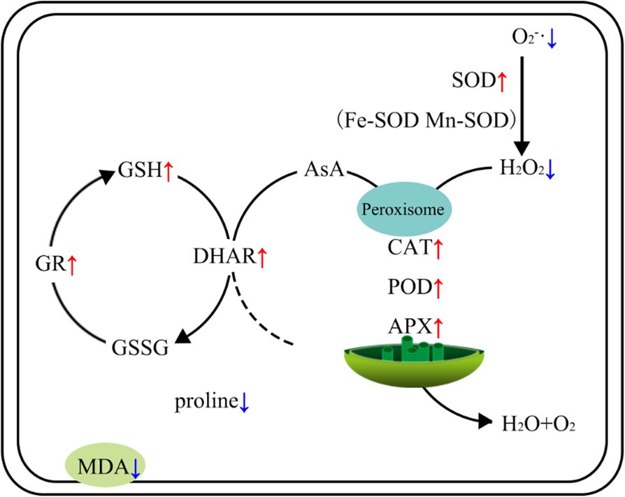 Fig. 10