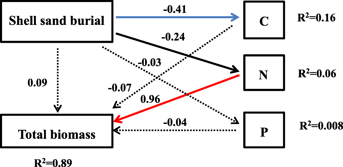 图6.