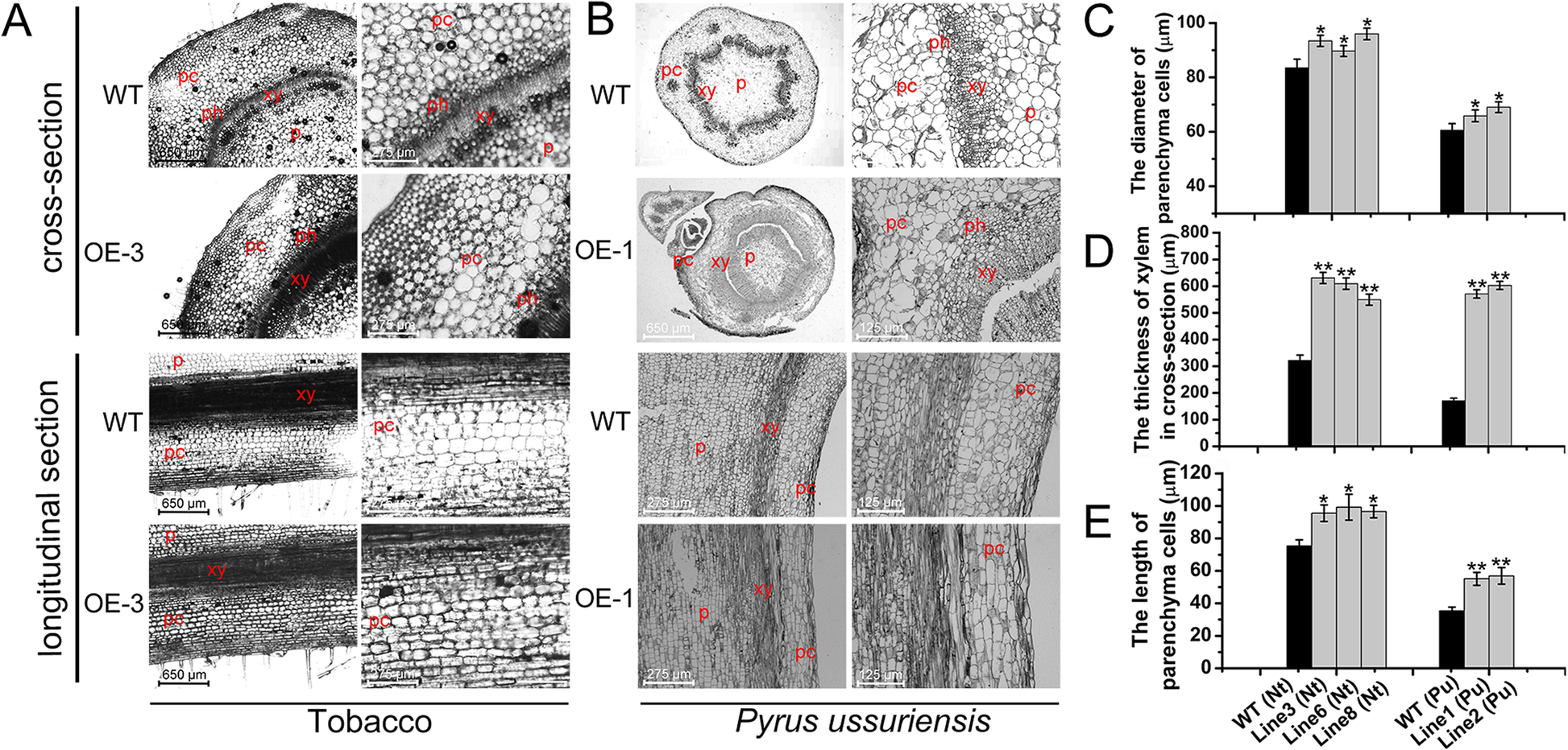 Fig. 8