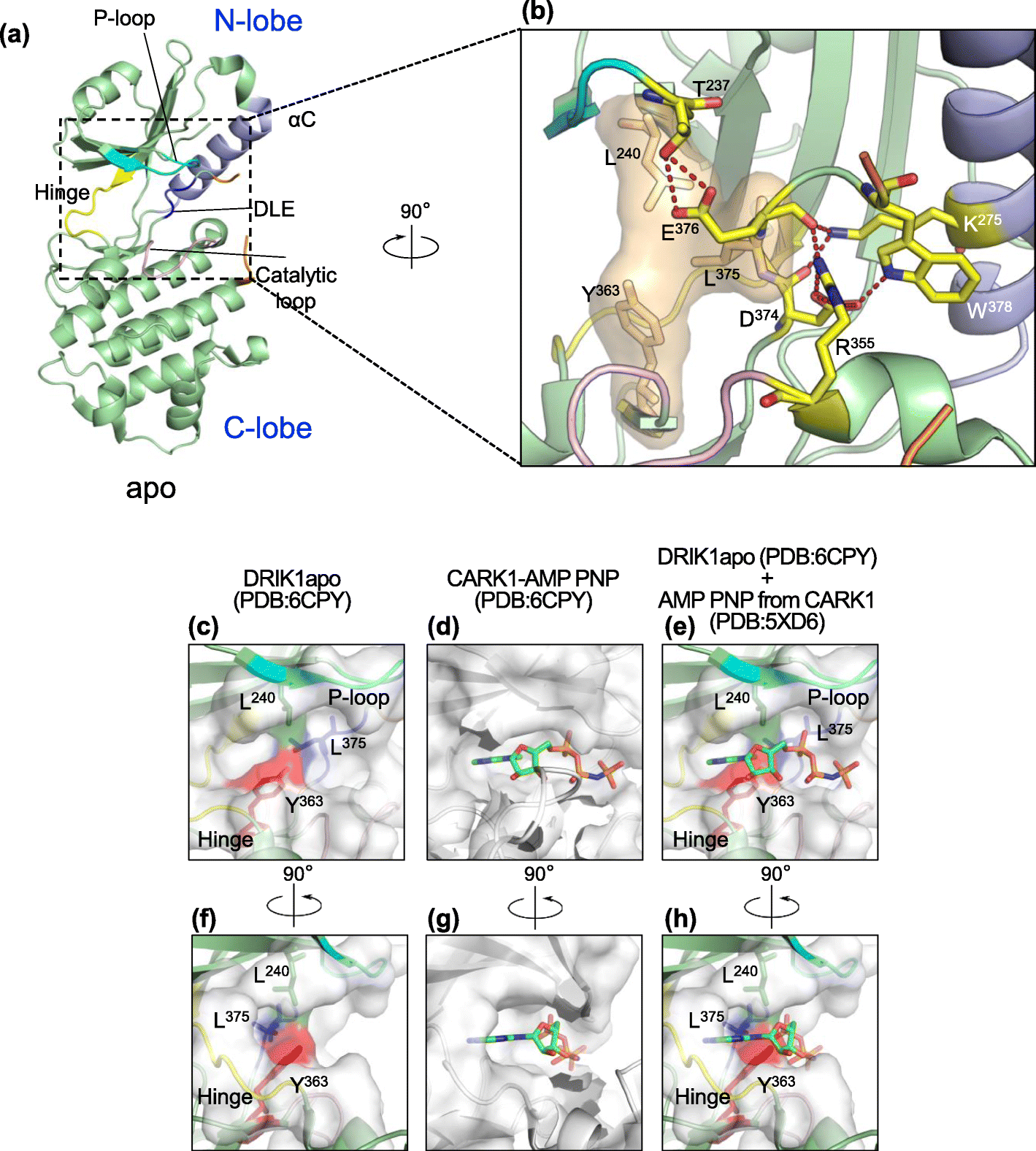 图4gydF4y2Ba