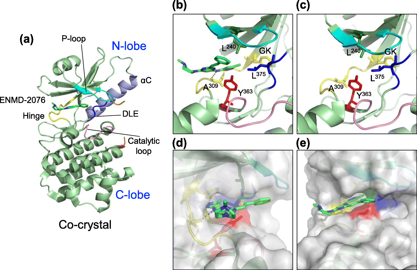 Fig. 6