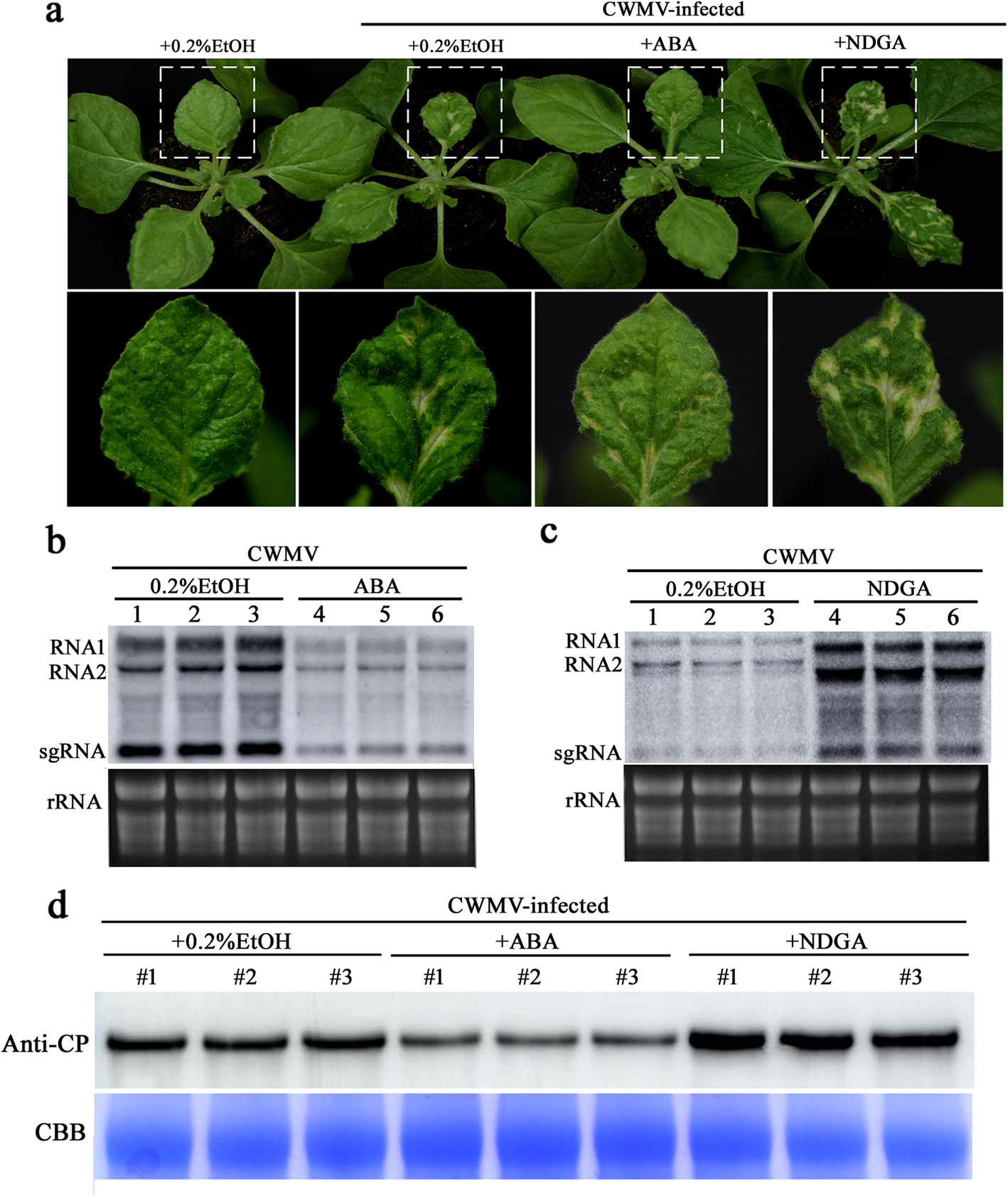 Fig. 9