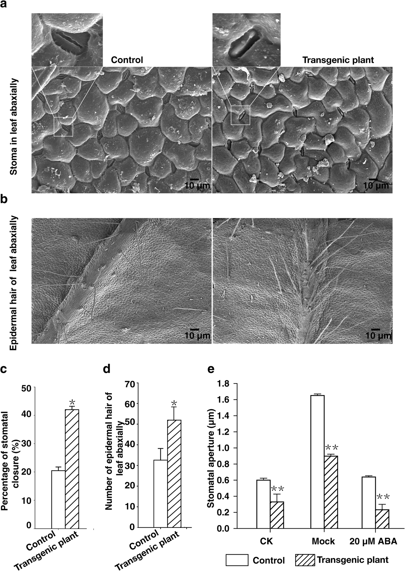 Fig. 5