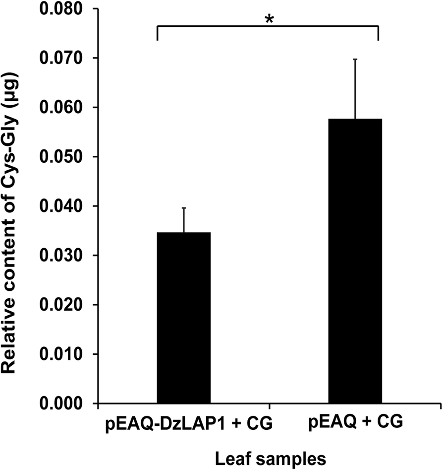 Fig. 4