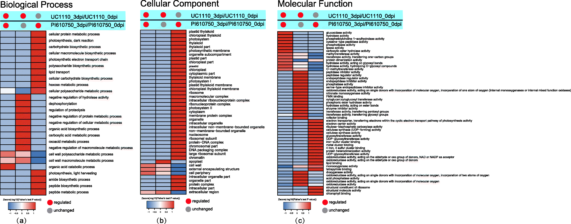 图5.