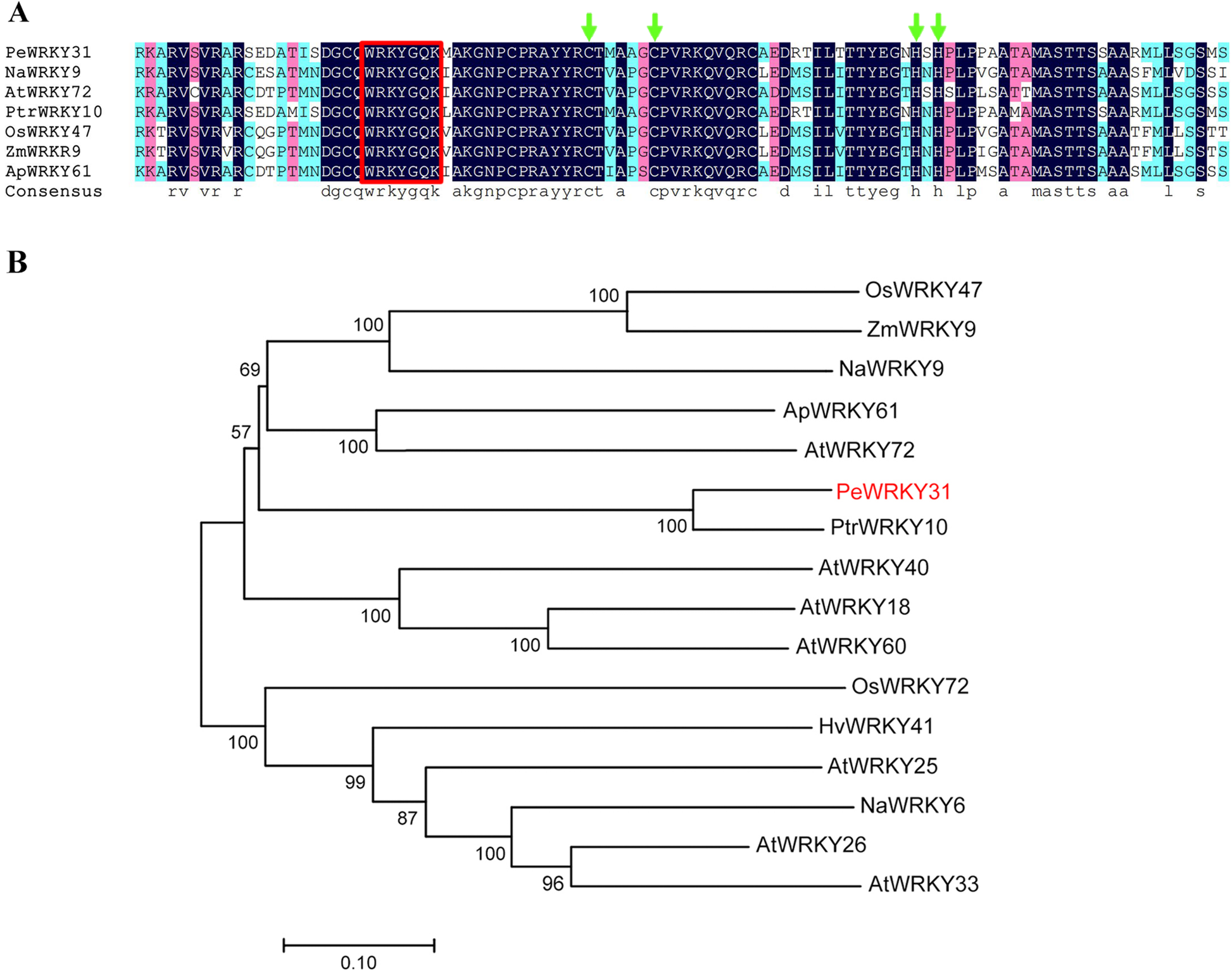 Fig. 2