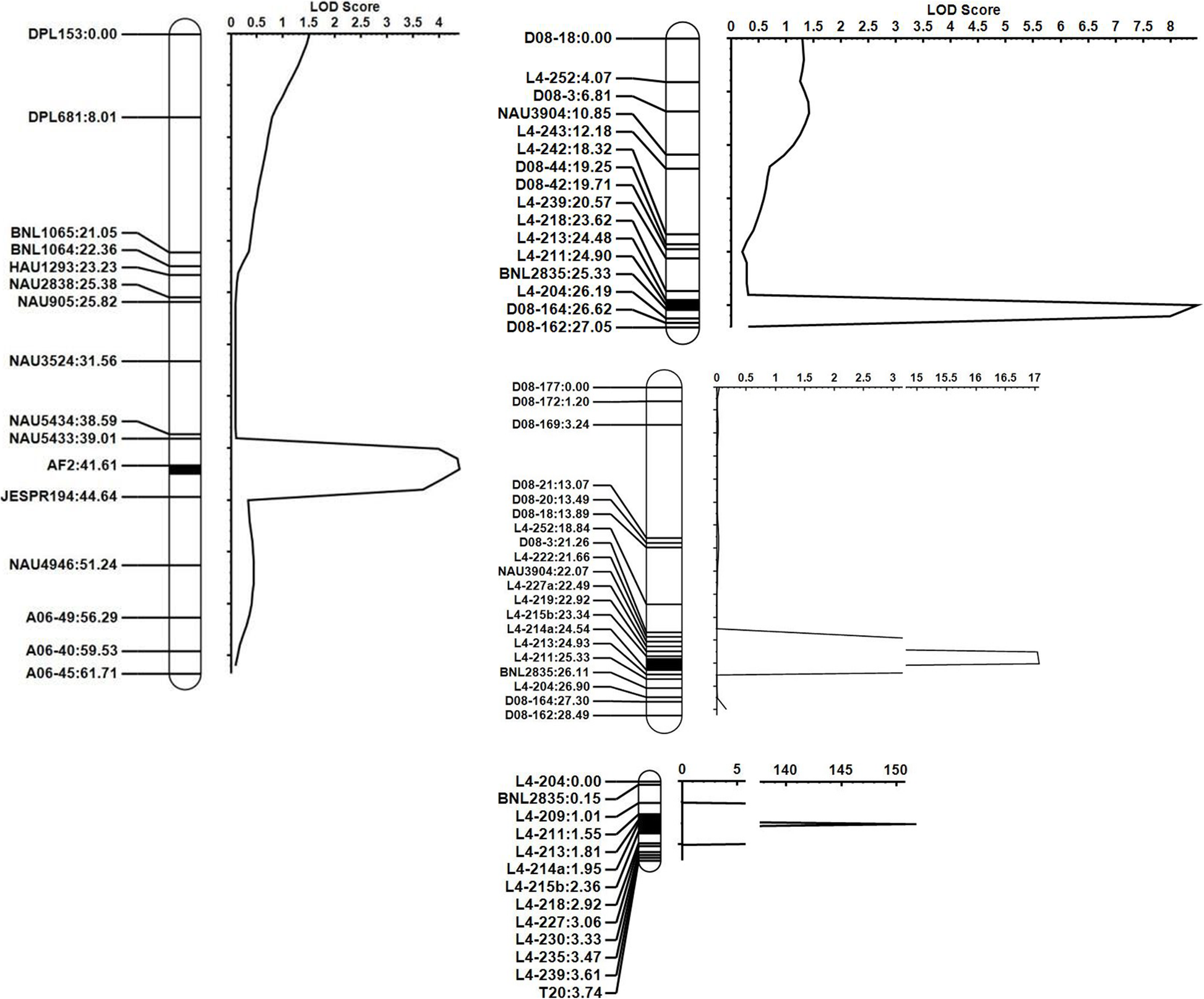 Fig. 6