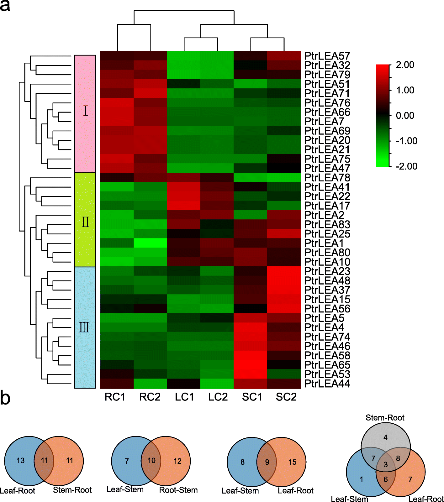 Fig. 6