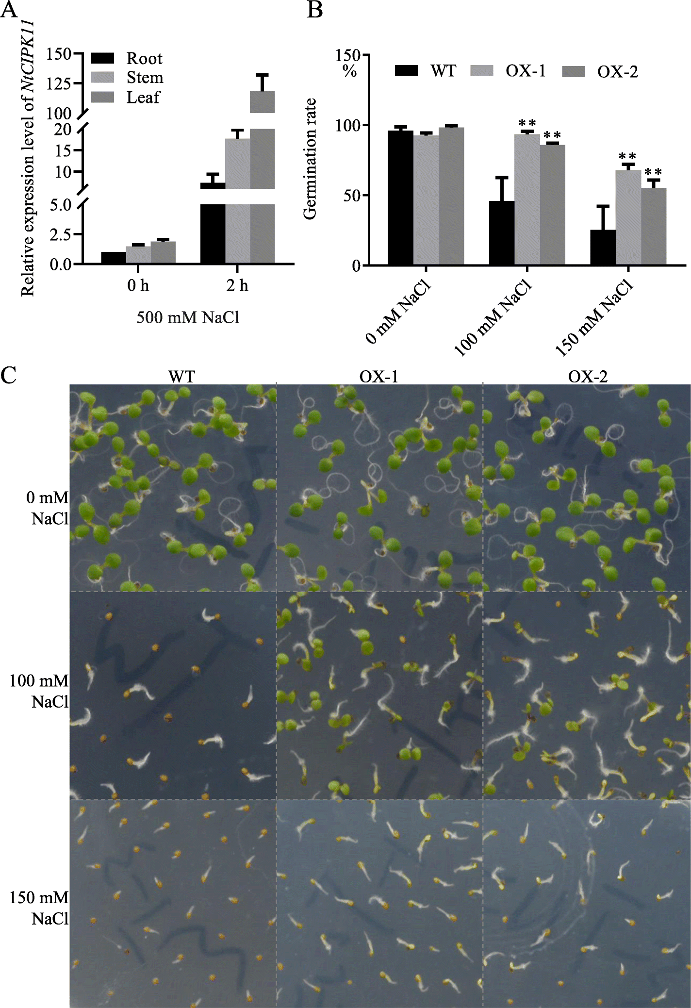 Fig. 4