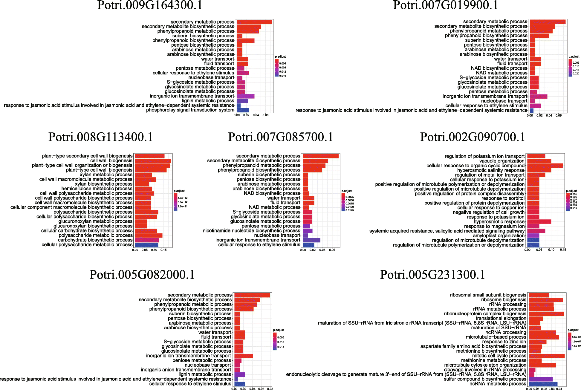 Fig. 11