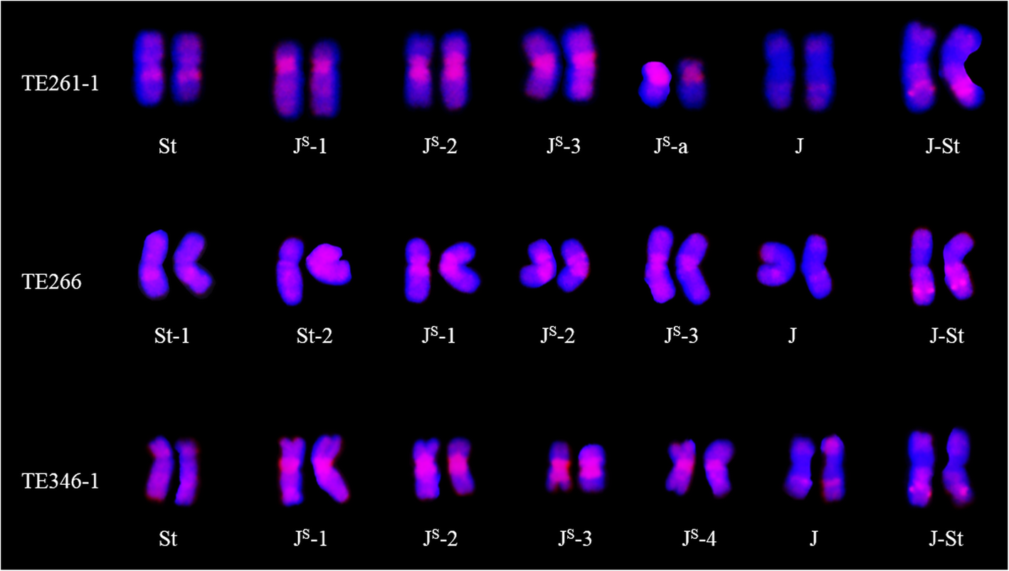 Fig. 2