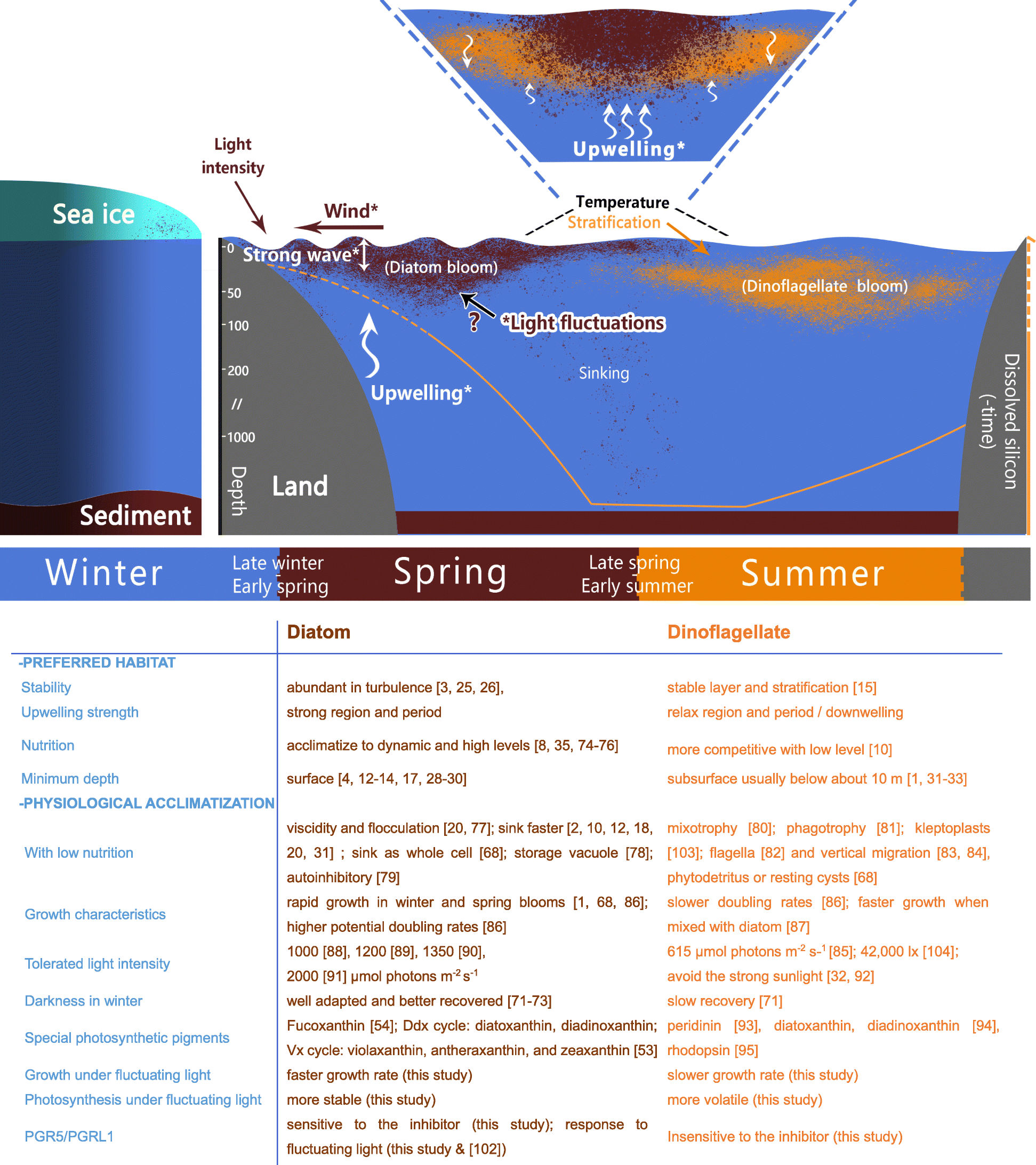 Fig. 7