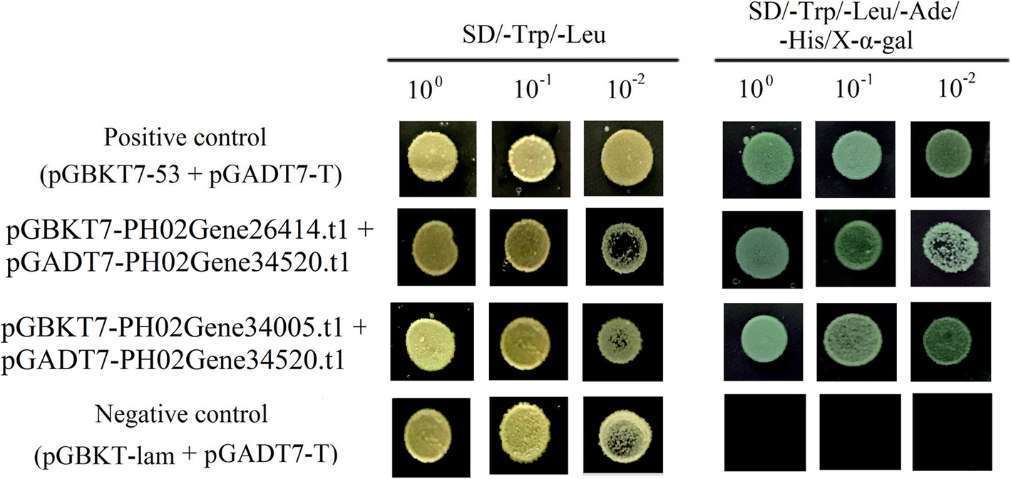 Fig. 8