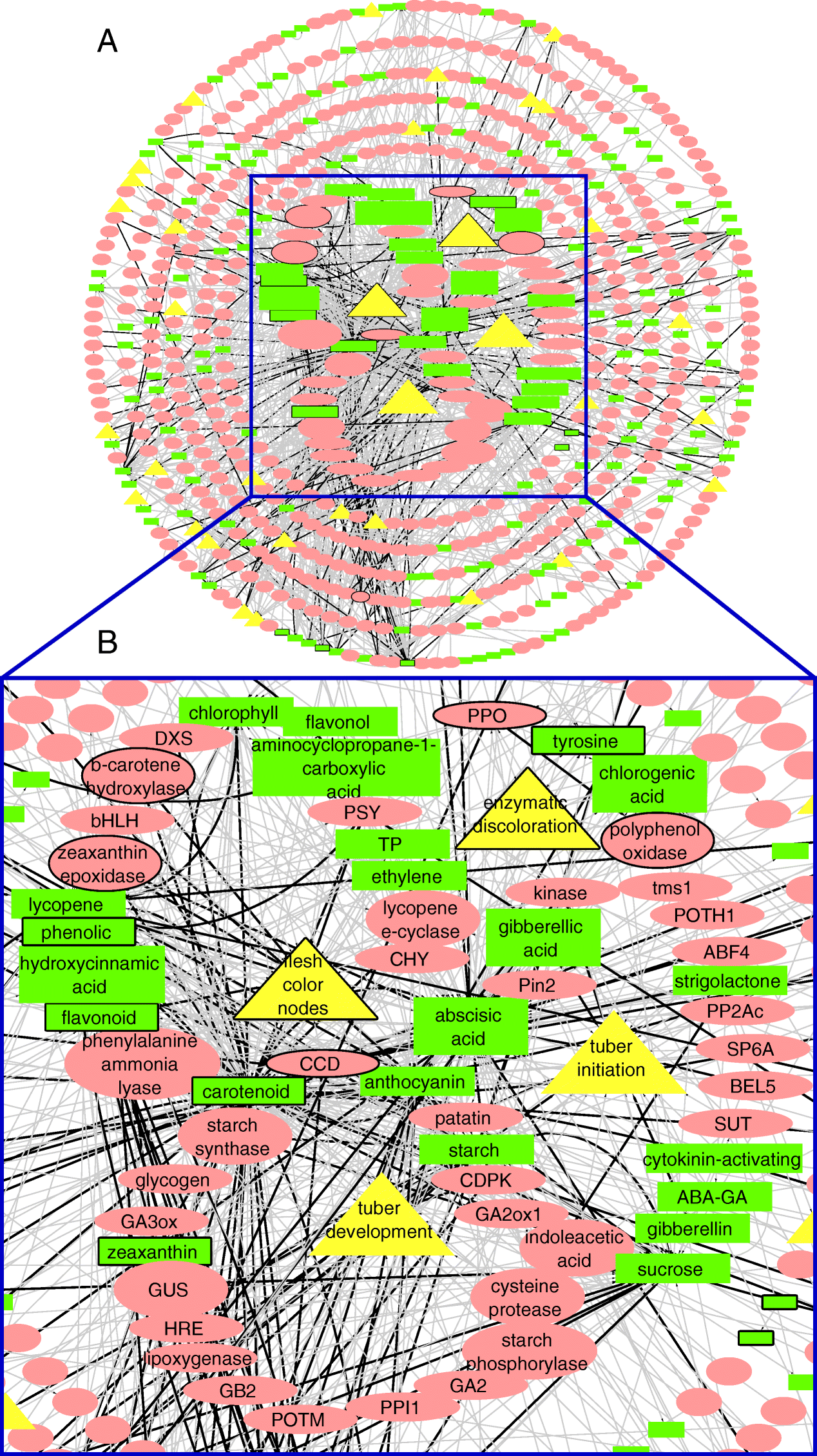 Fig. 3