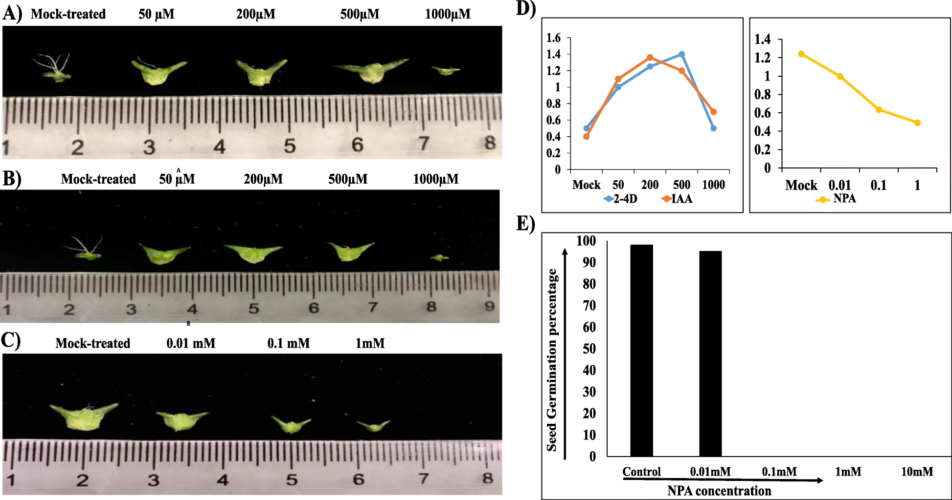 Fig. 8