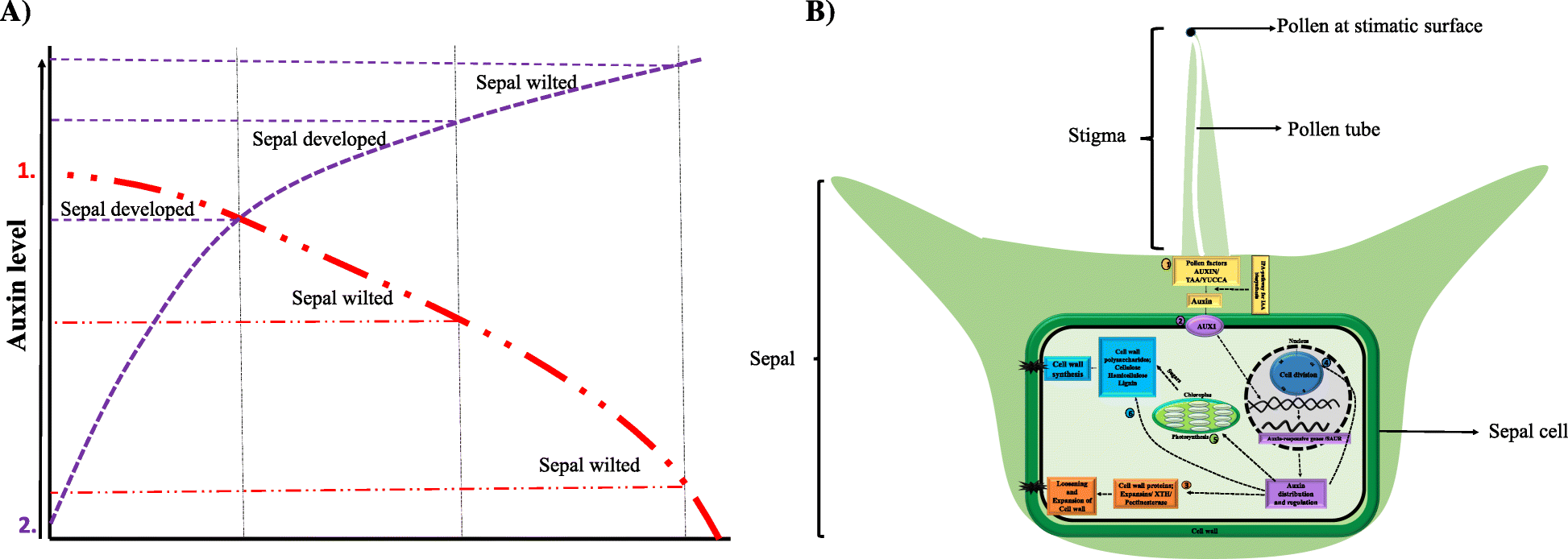 Fig. 9