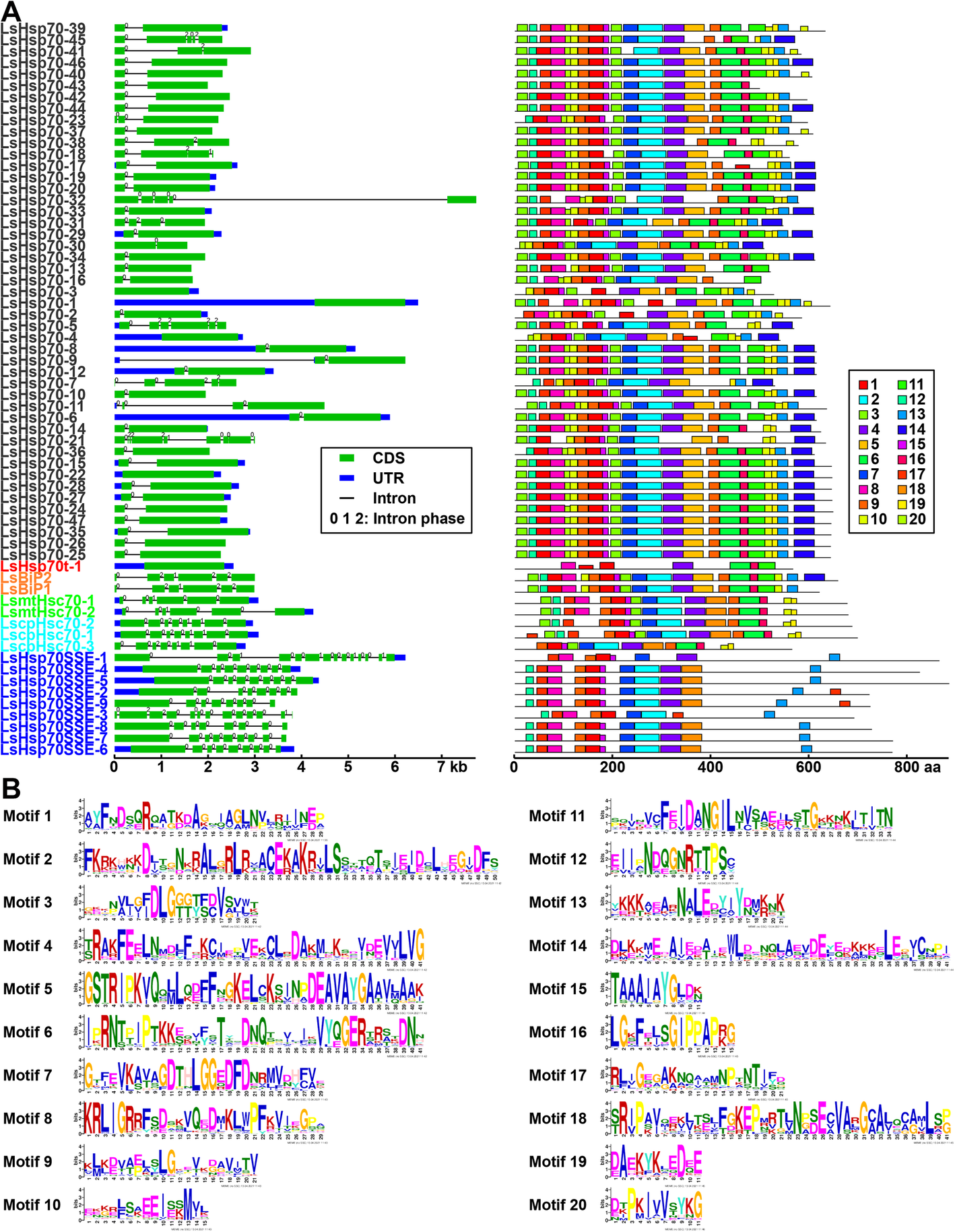 Fig. 6