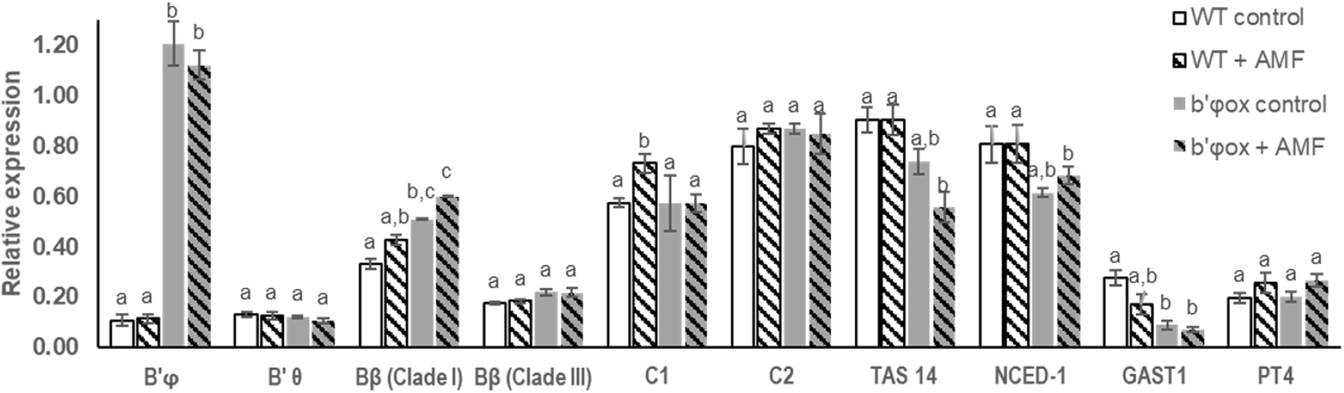 Fig. 8