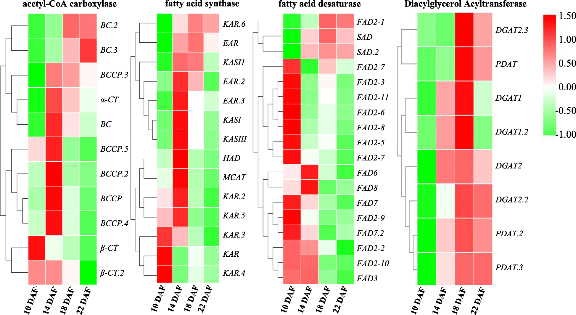 Fig. 6