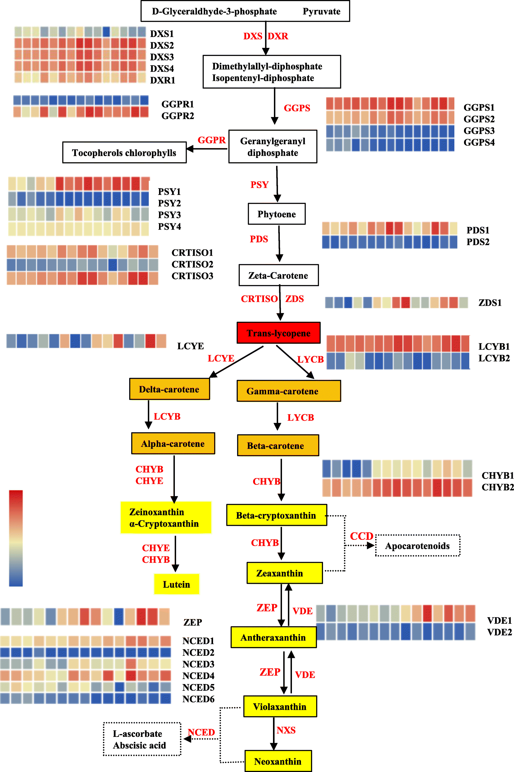 Fig. 8