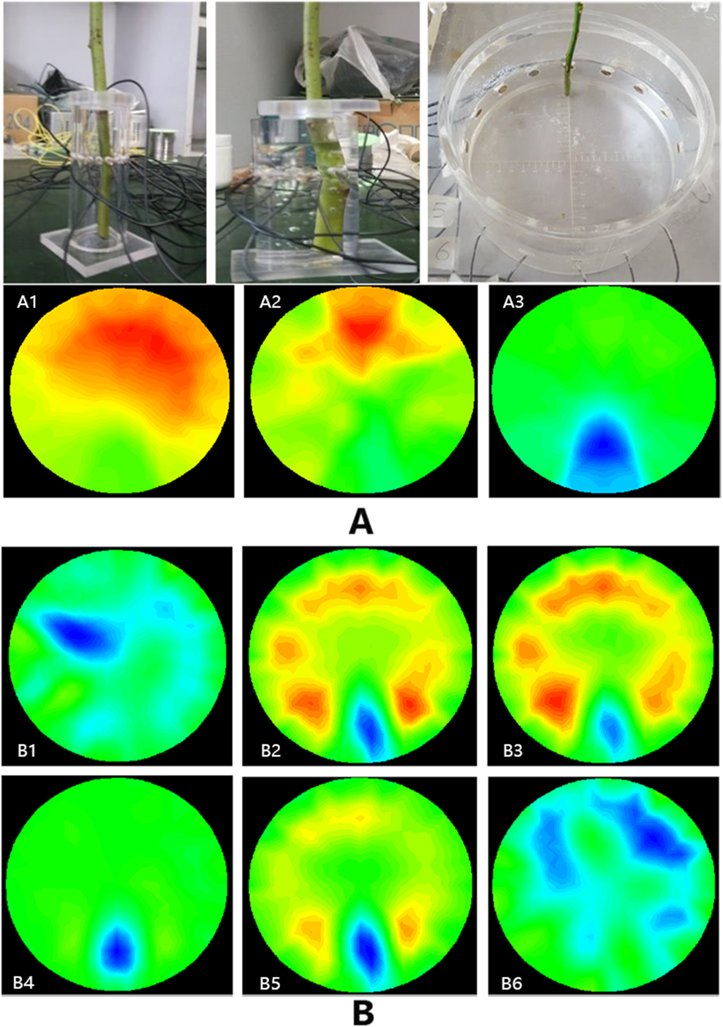 Fig. 2