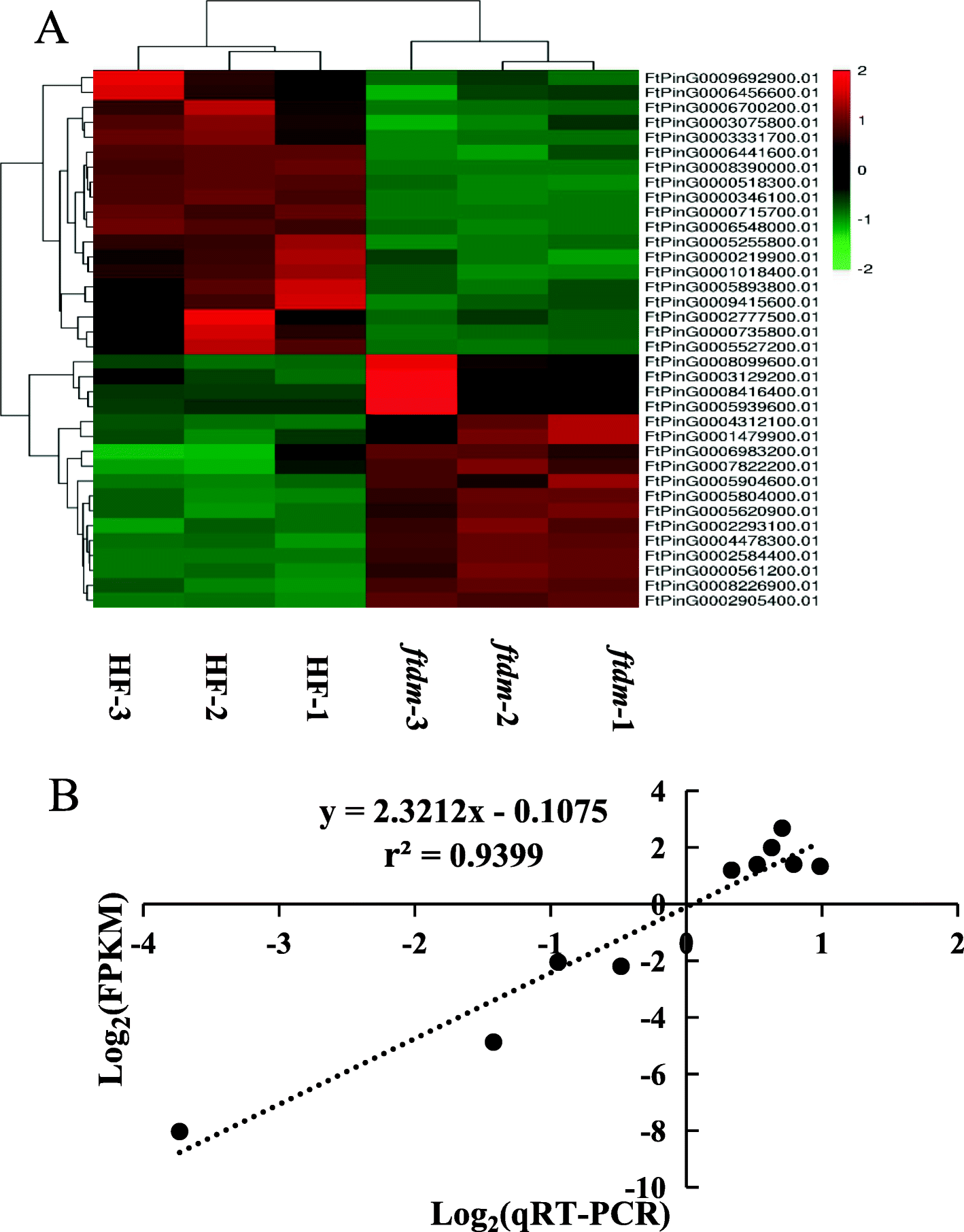 Fig. 9