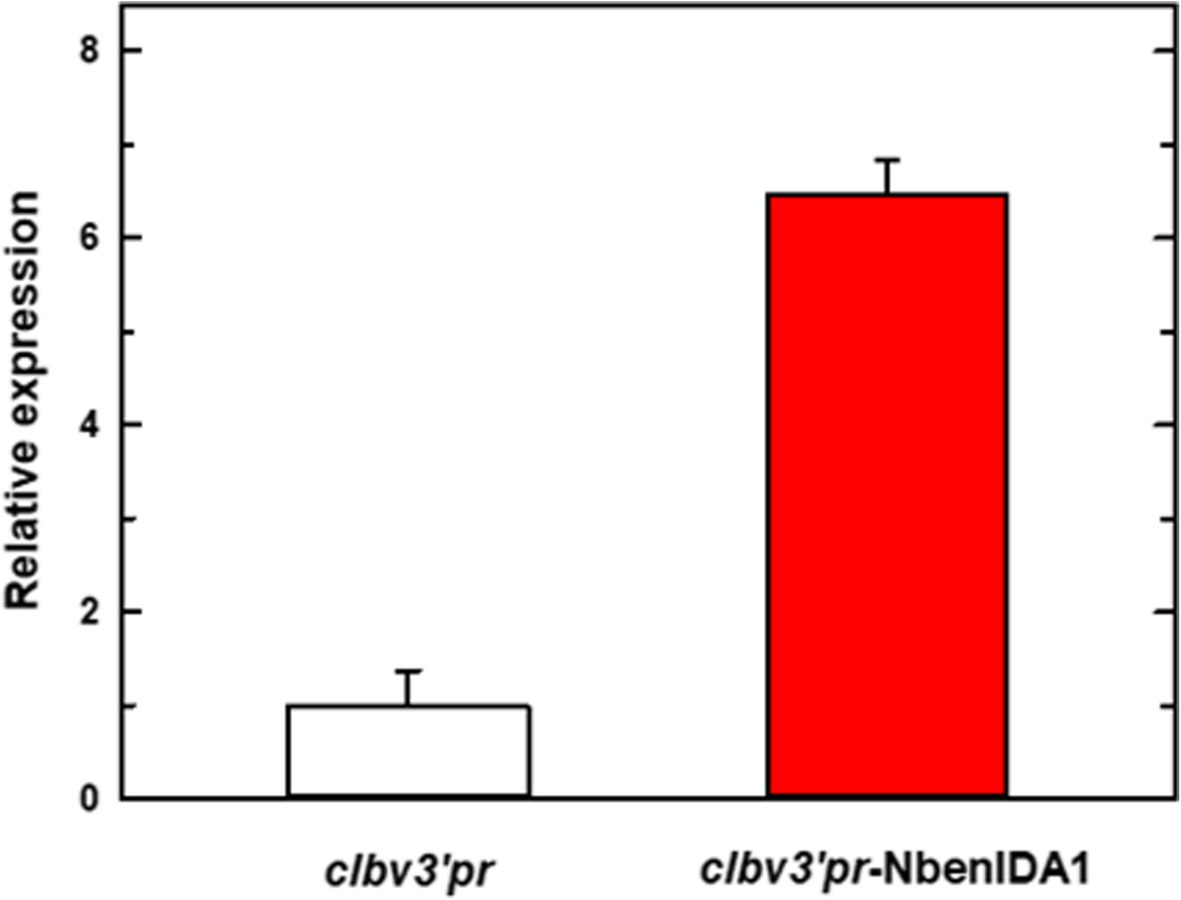 Fig. 4