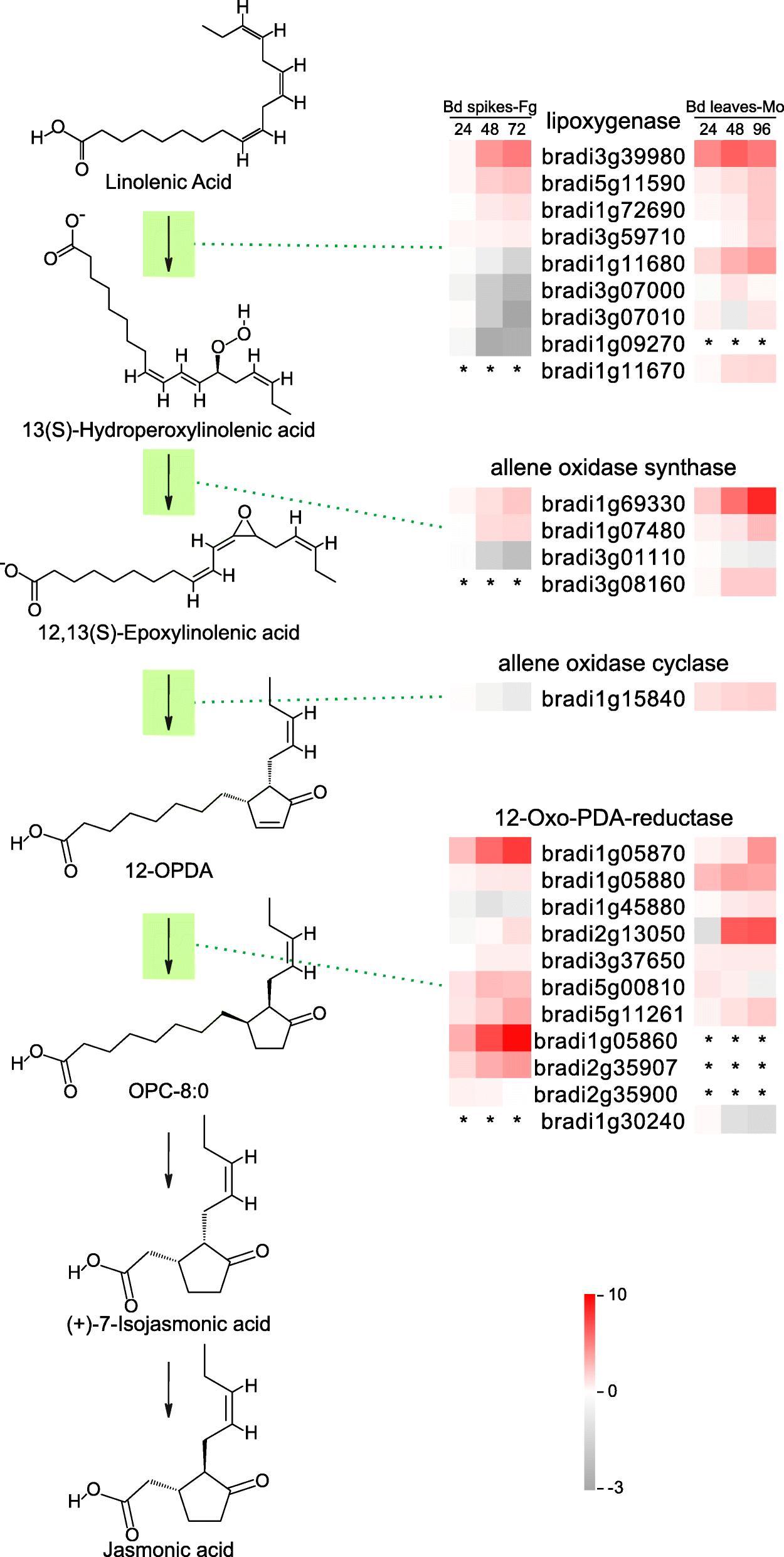 Fig. 5