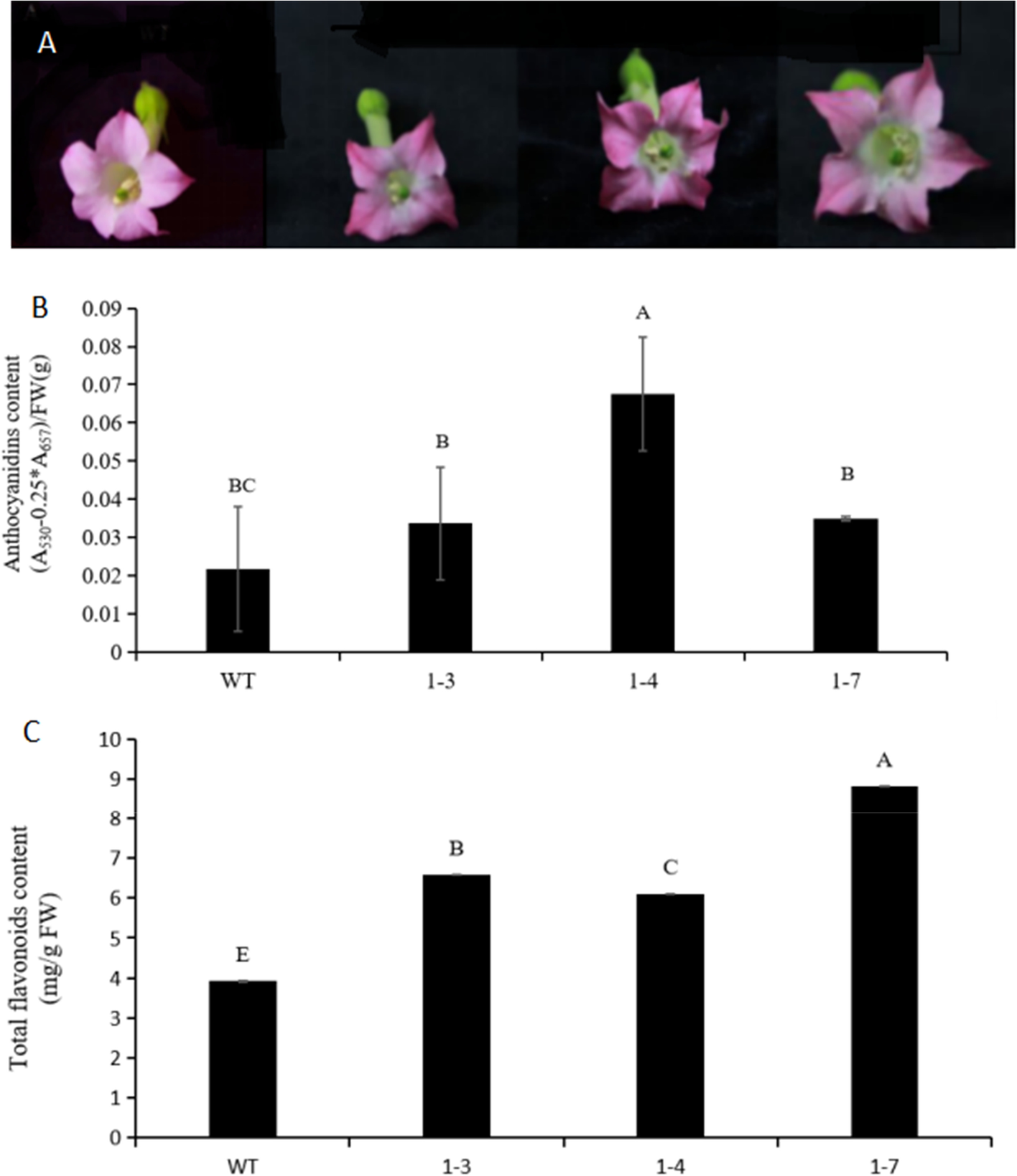 Fig. 3