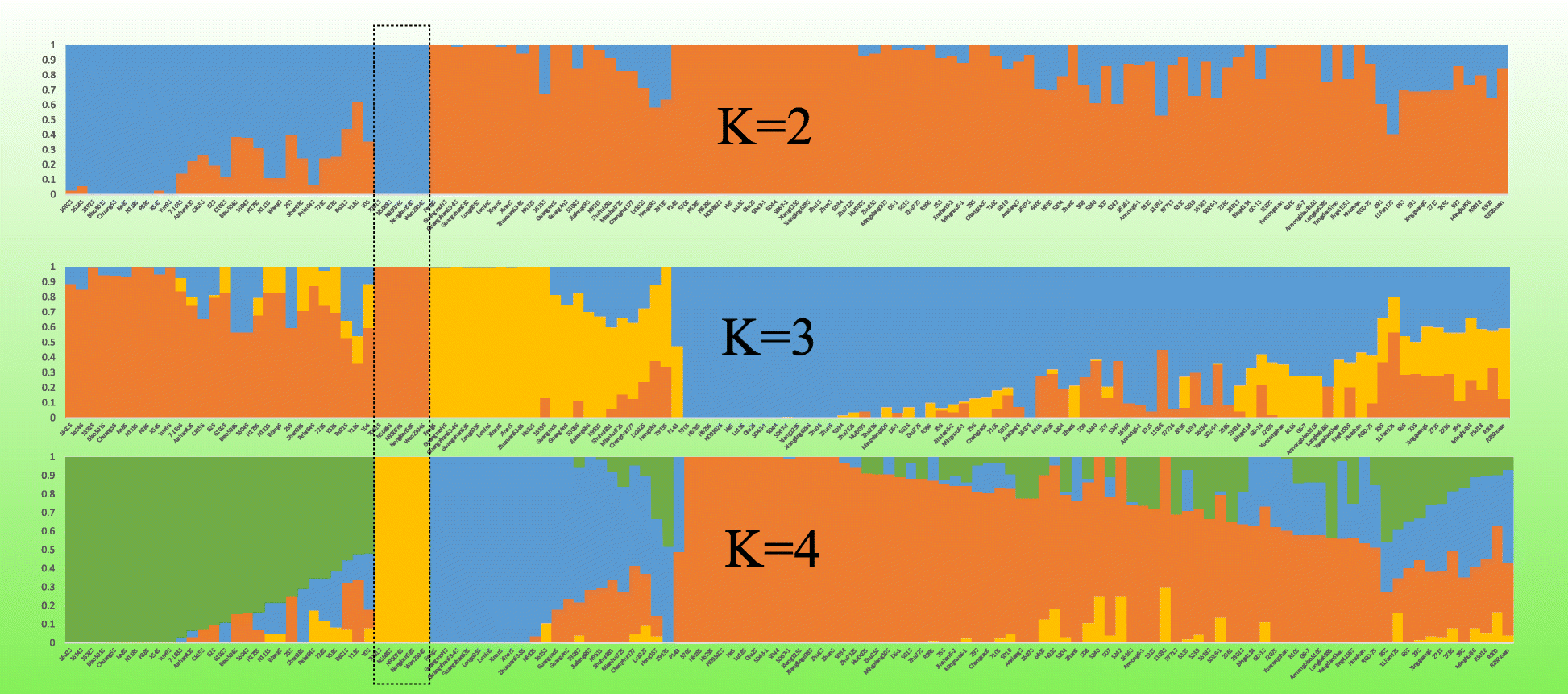 Fig. 6