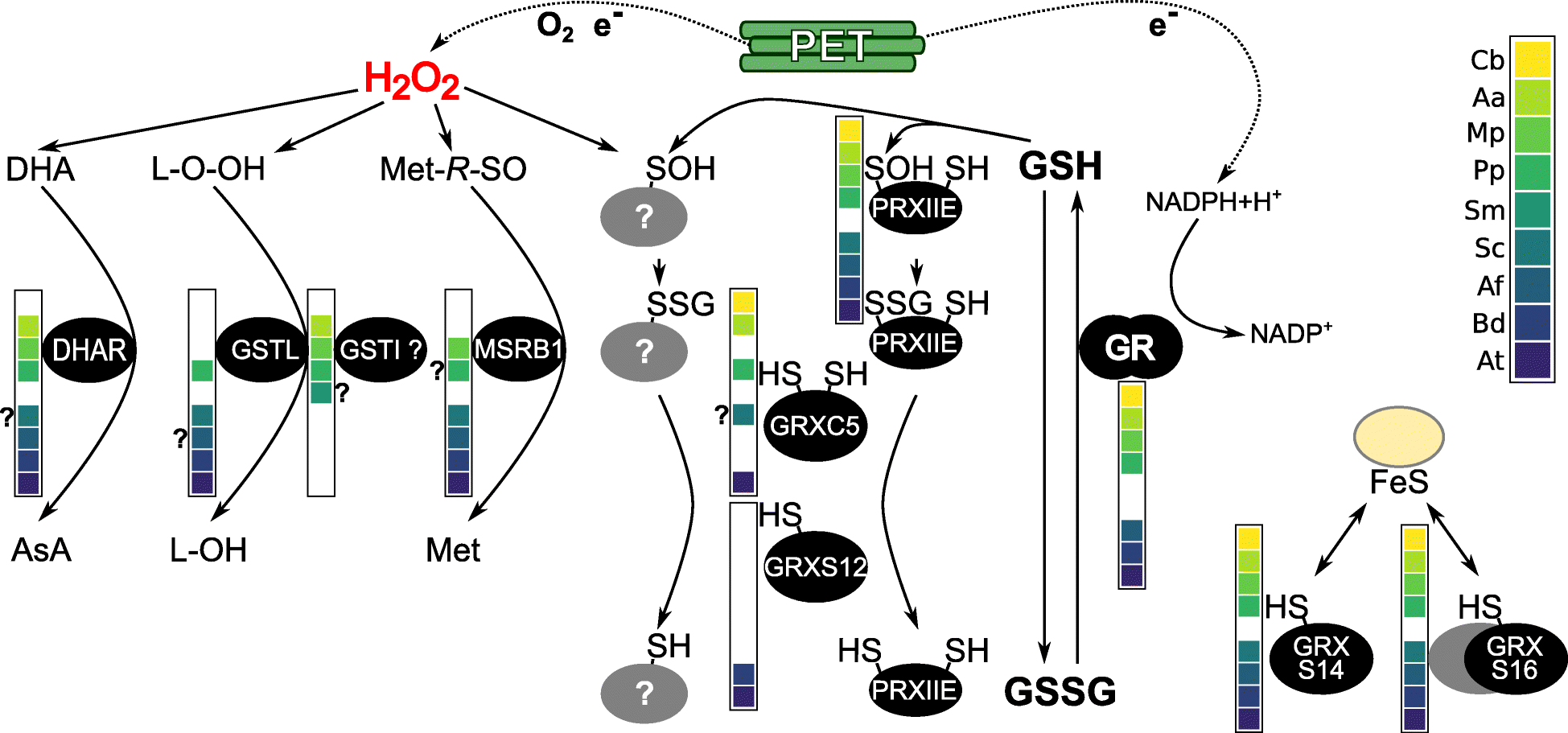 Fig. 2