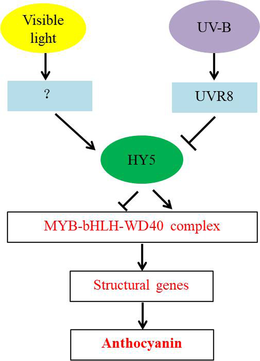 Fig. 10