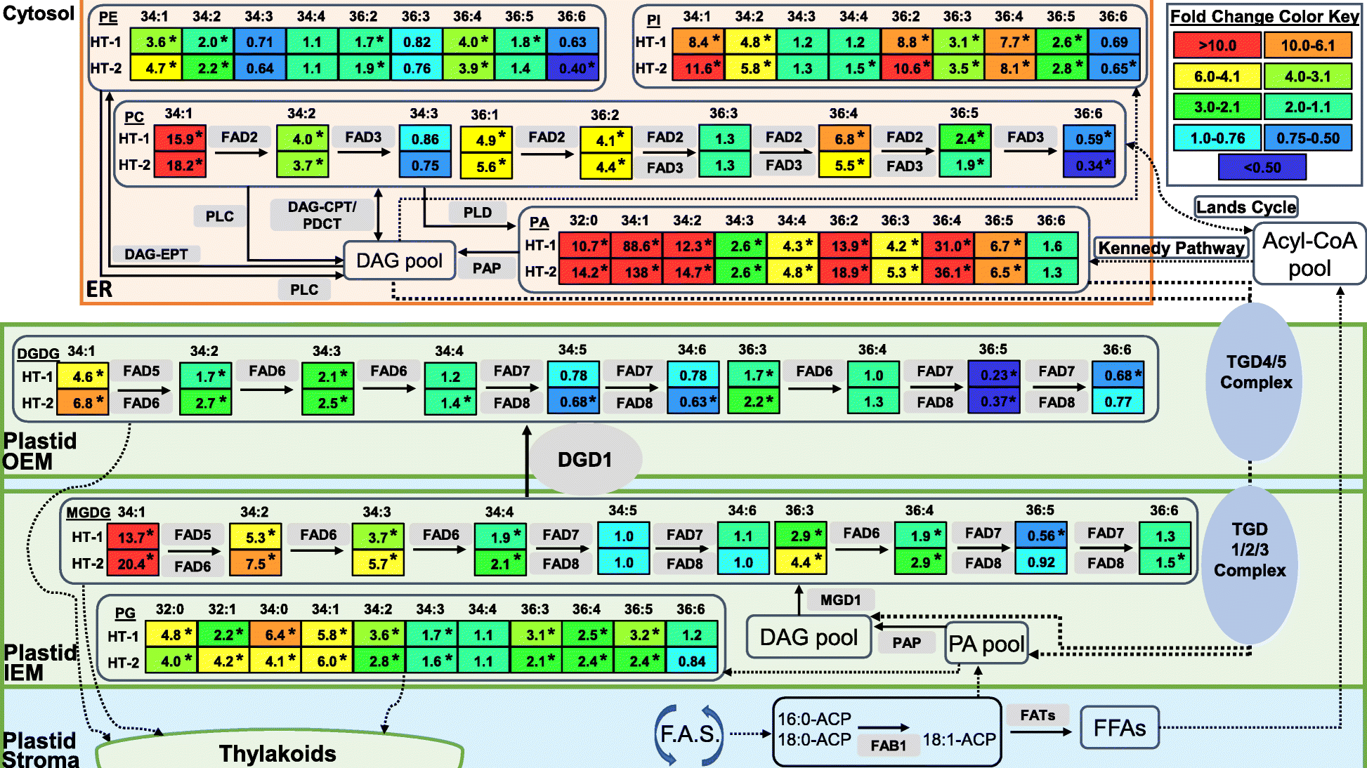 Fig. 7