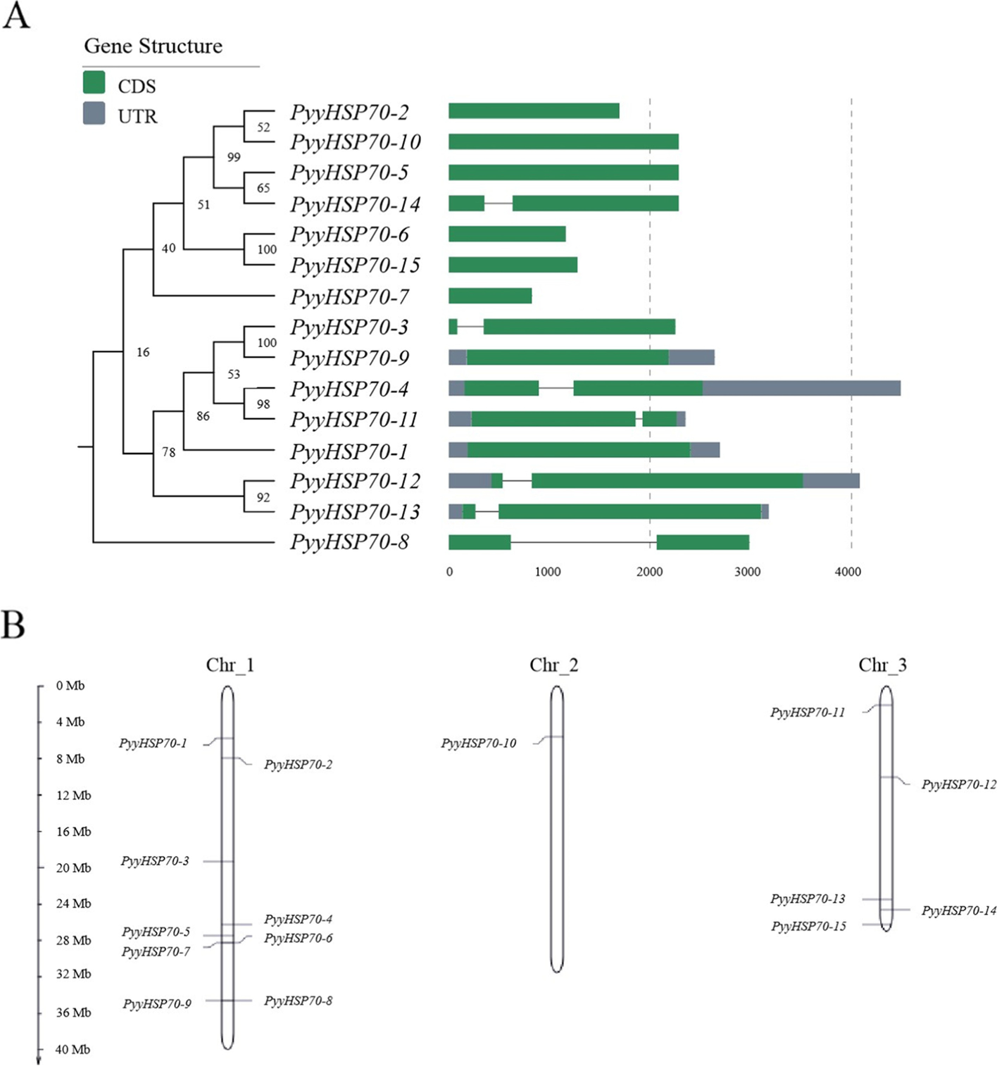 Fig.1