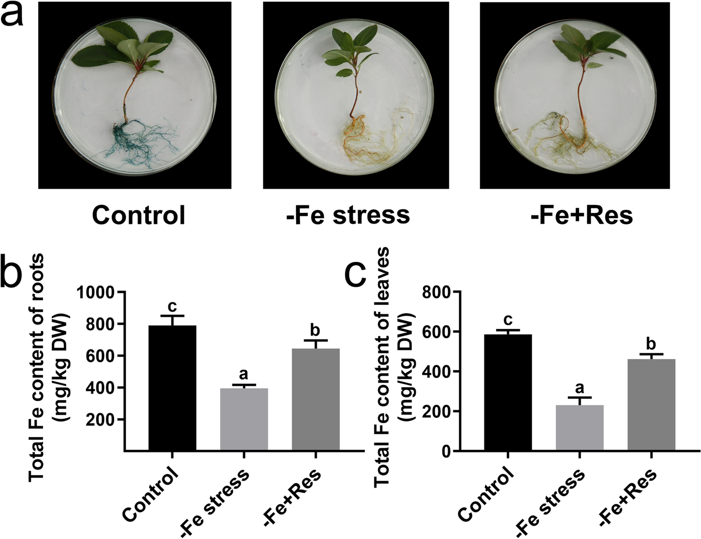 Fig. 3