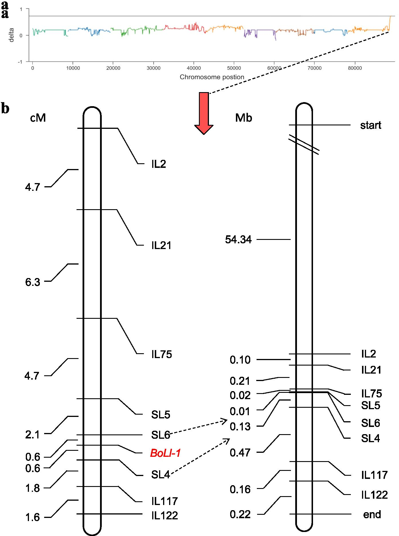 Fig. 2