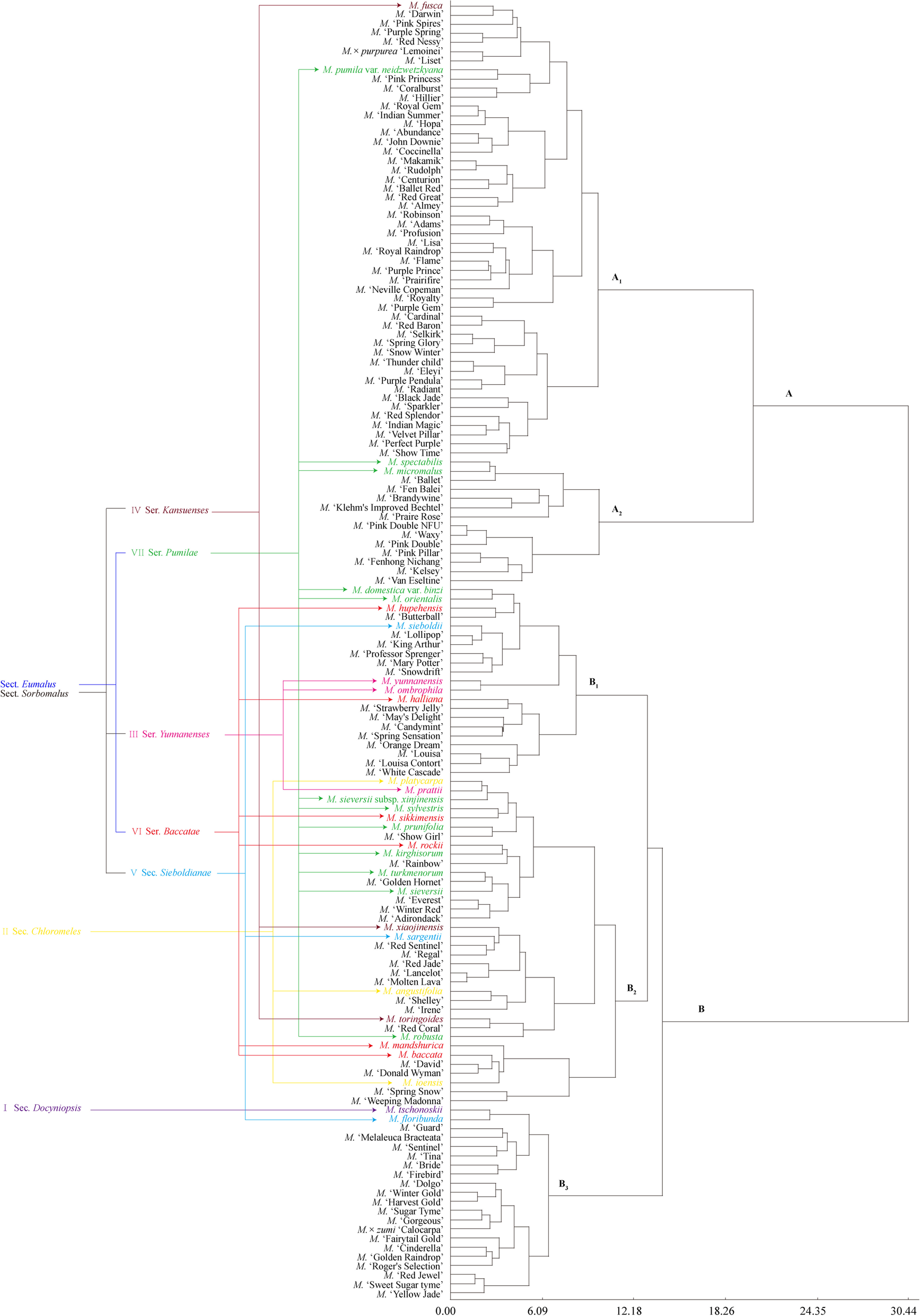 Fig. 4