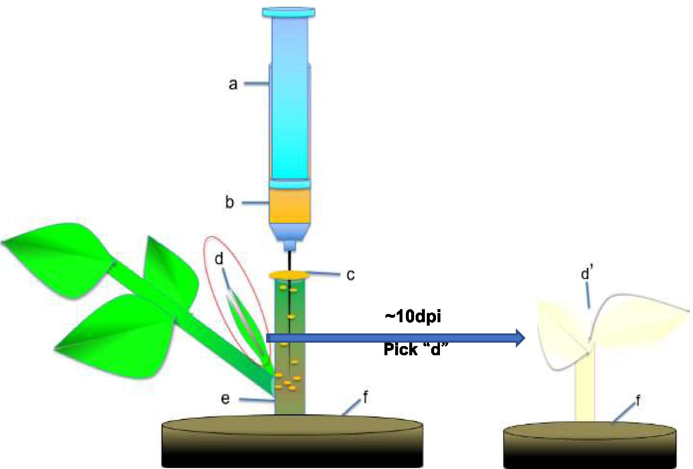 Fig. 4