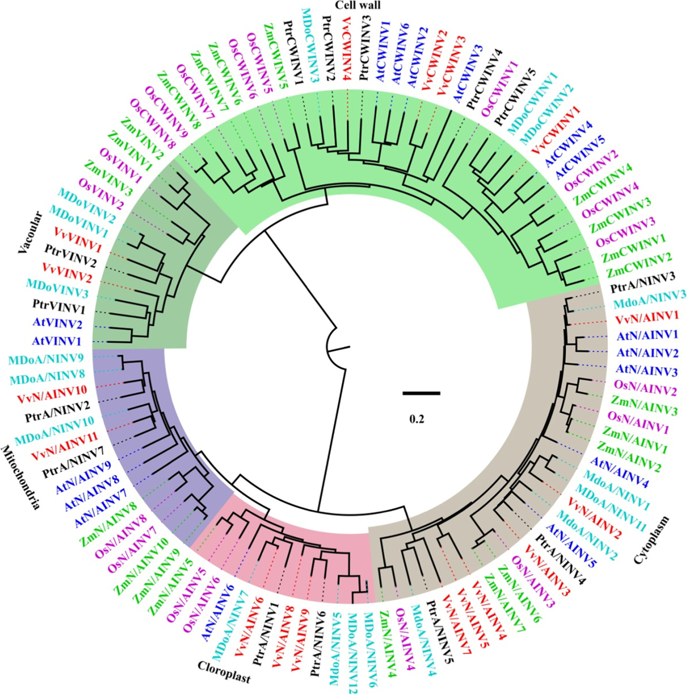 Fig. 1