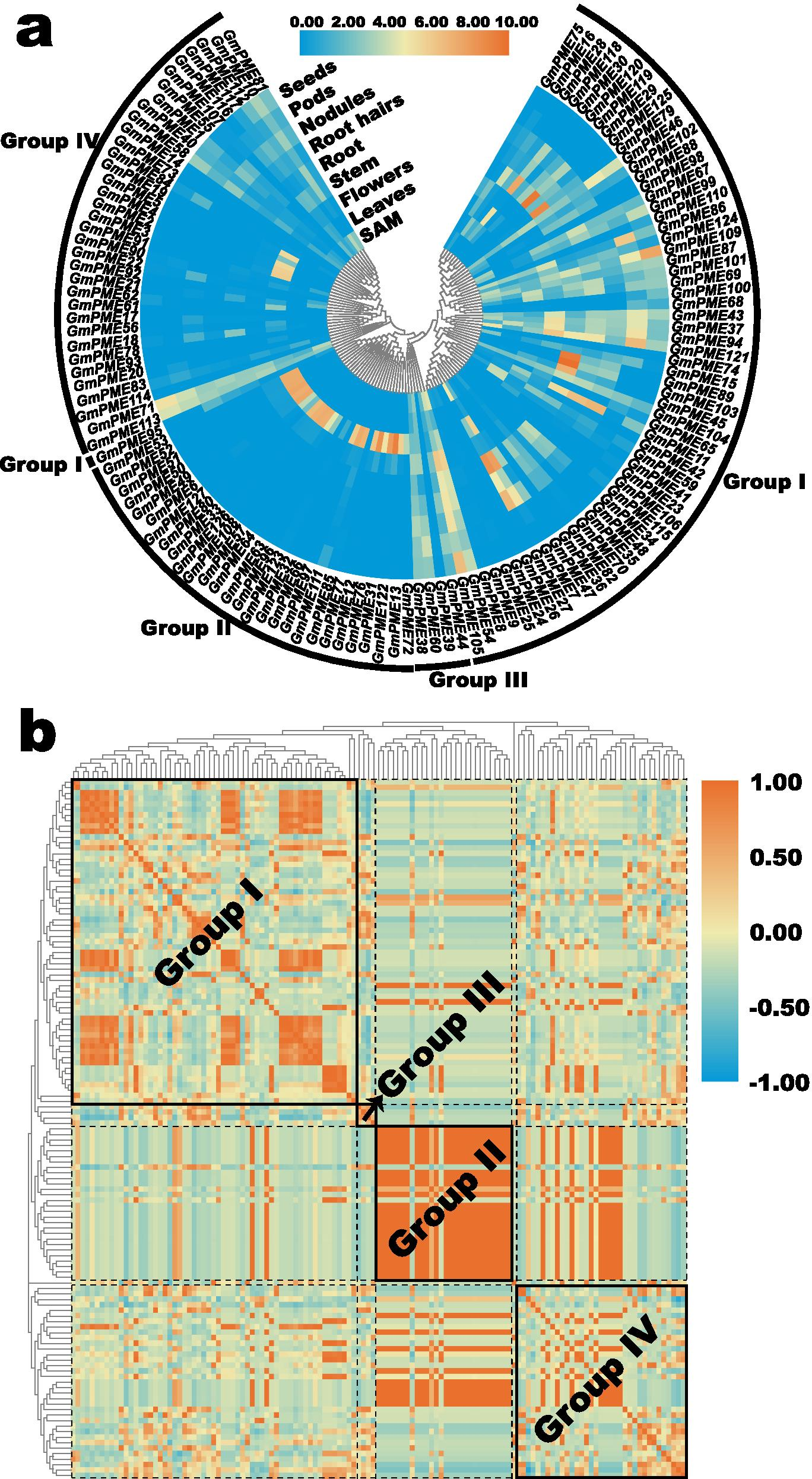 Fig. 10